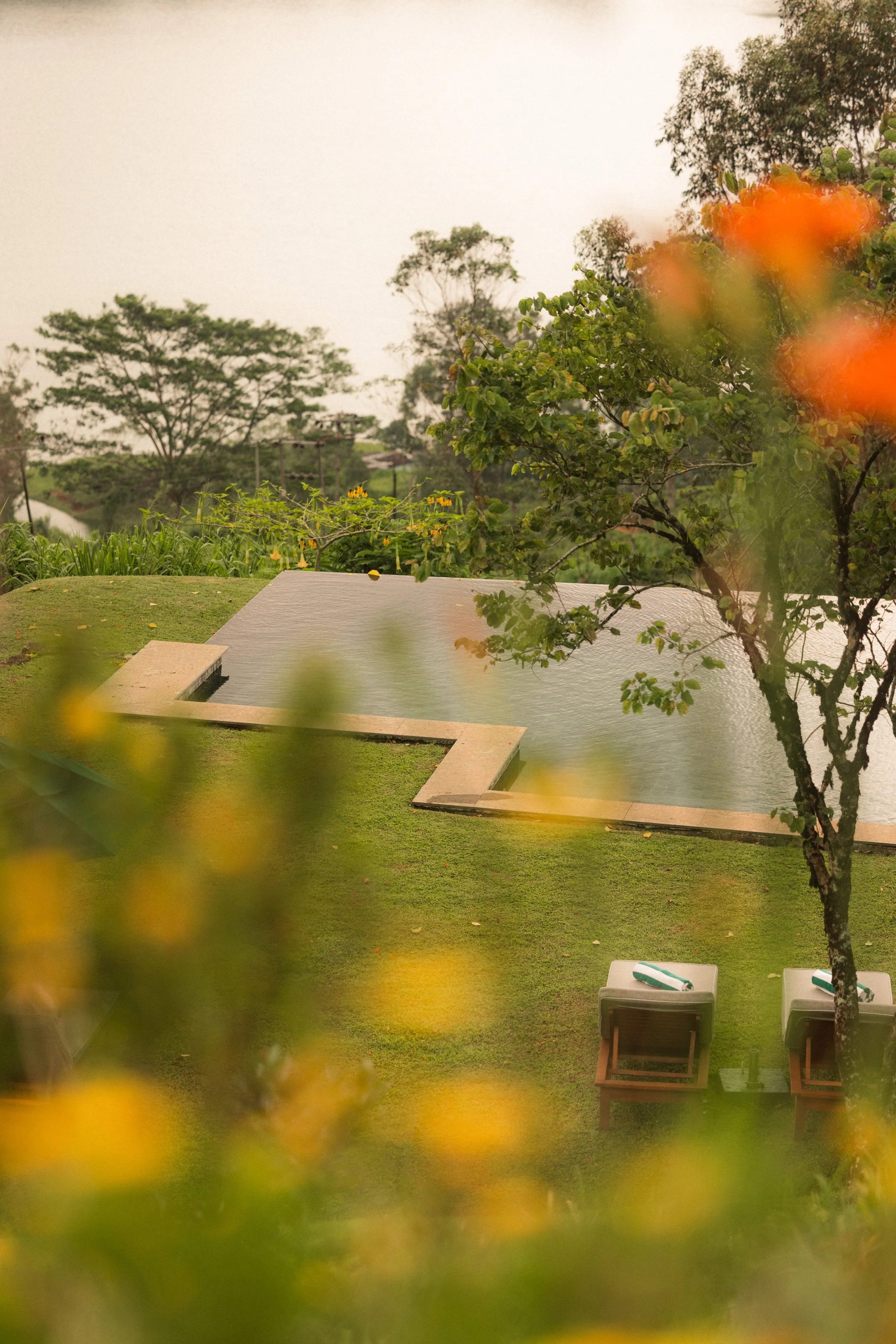 TOBIAS - July 08, 2026 11-05-40.jpg