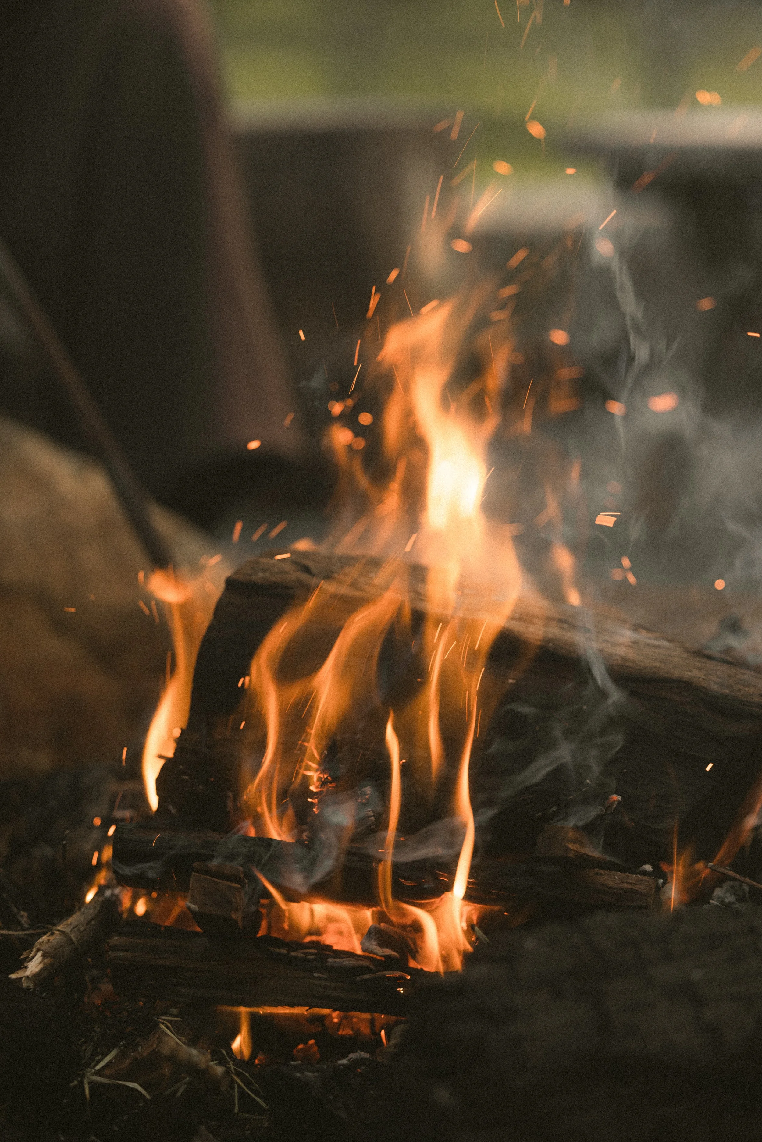 TOBIAS - March 16, 2026 16-00-45.jpg