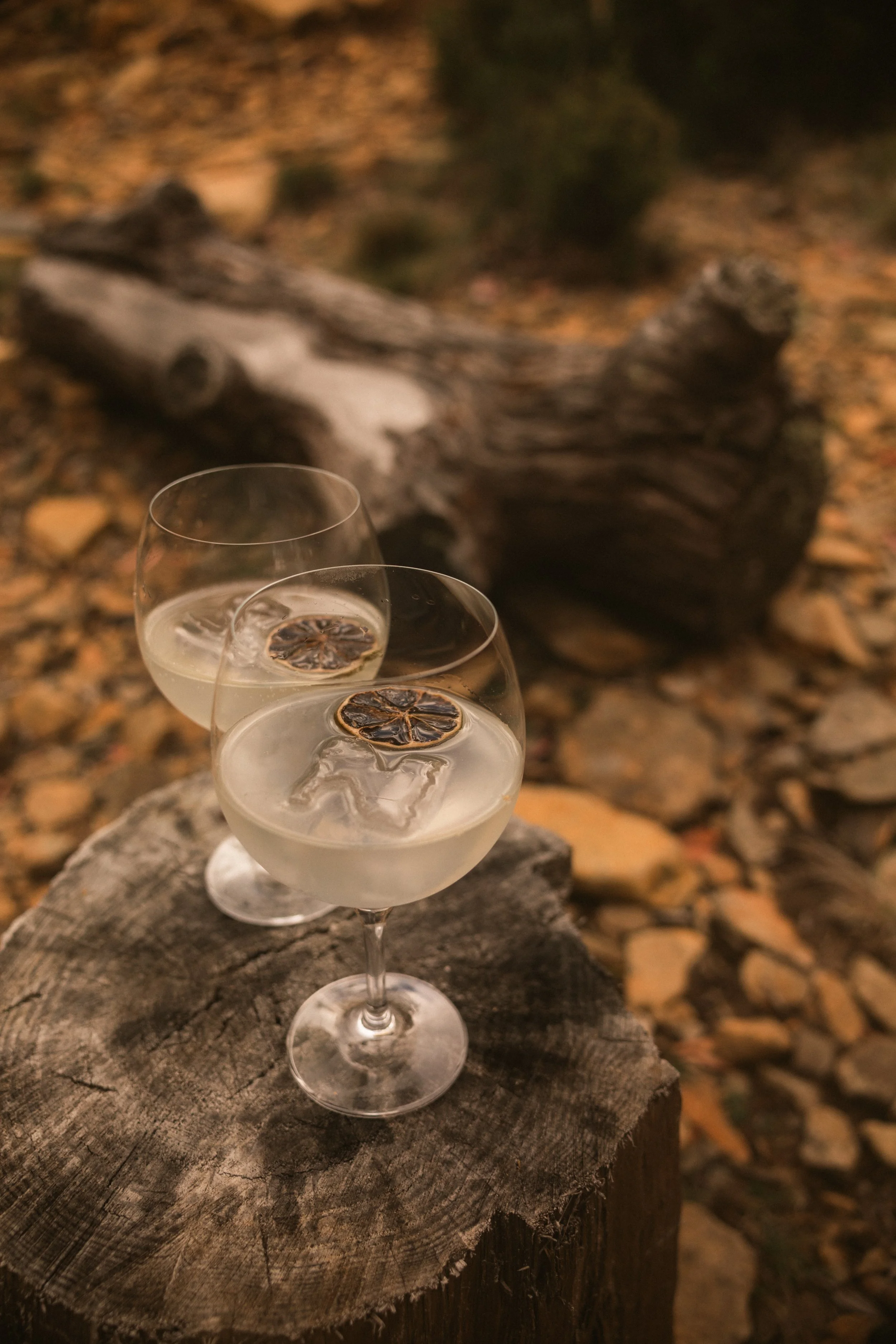 TOBIAS - January 10, 2026 14-26-42.jpg