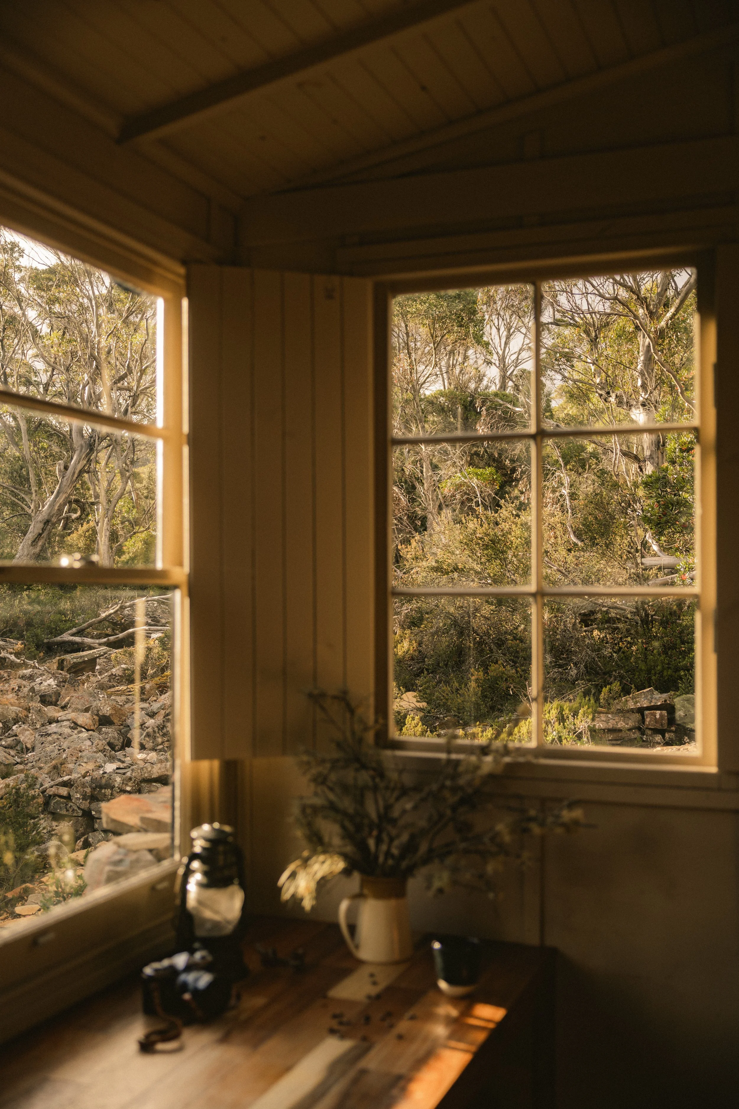 TOBIAS - January 10, 2026 16-26-47.jpg