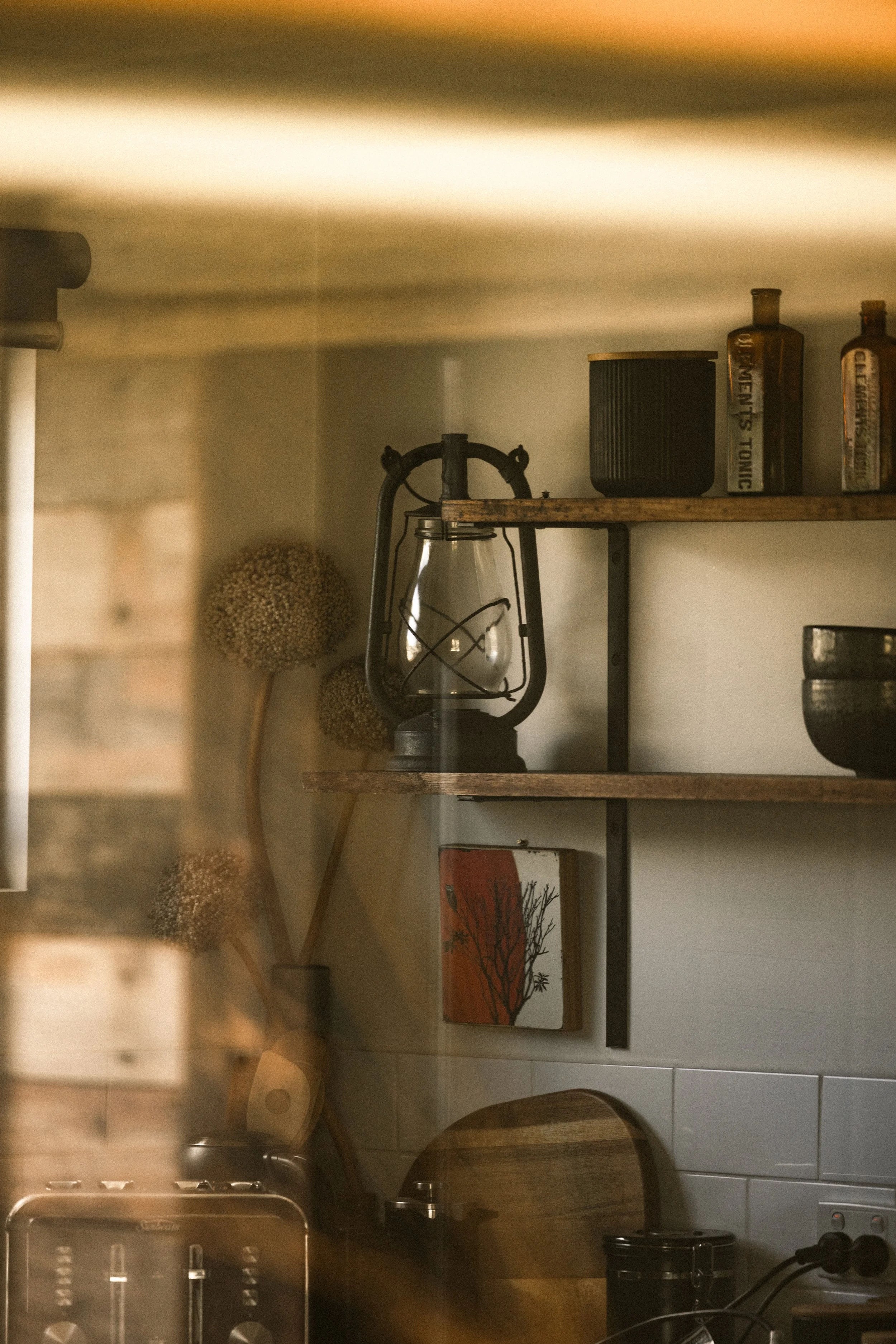 TOBIAS - January 06, 2026 09-24-43.jpg