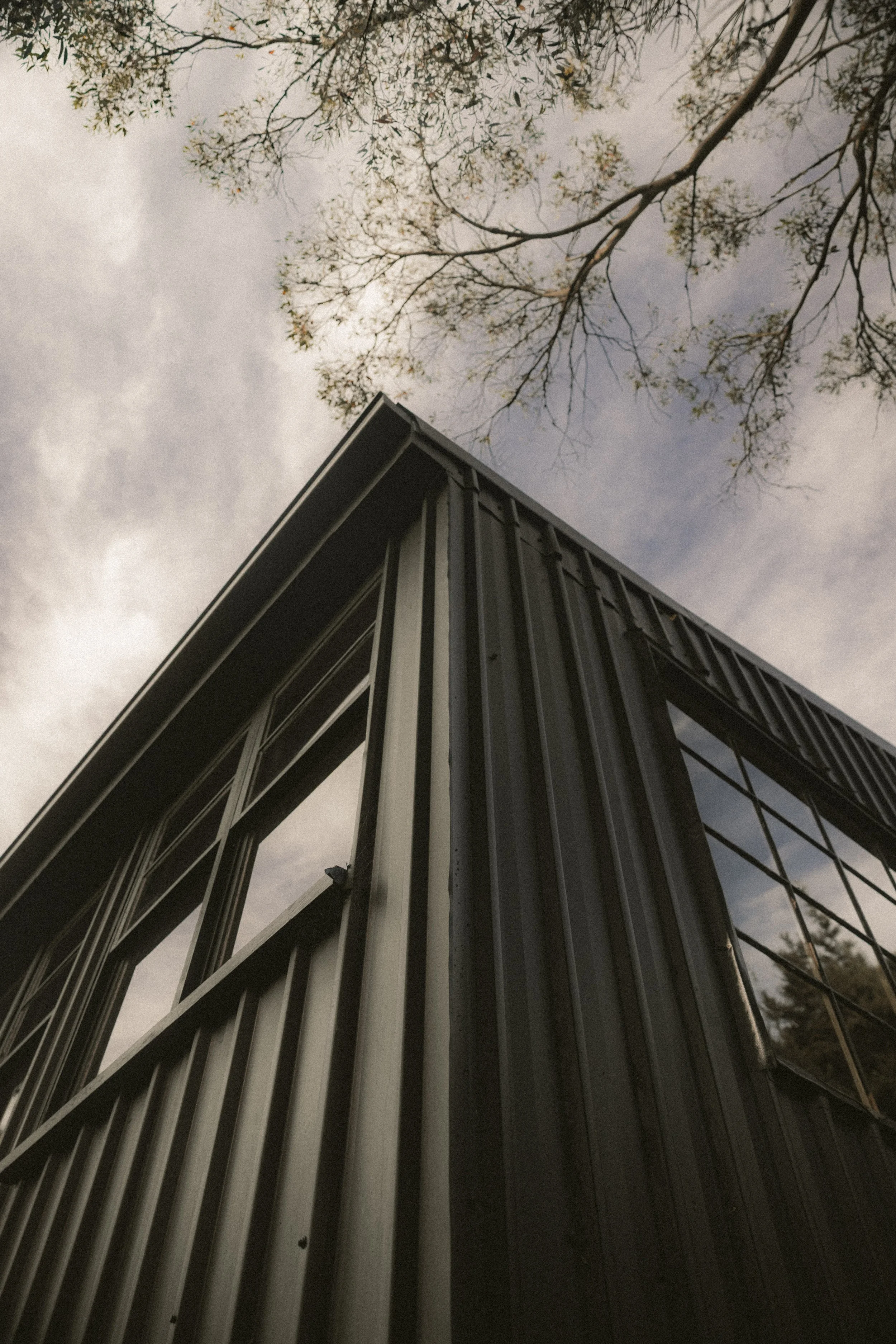 TOBIAS - January 08, 2026 16-54-37.jpg