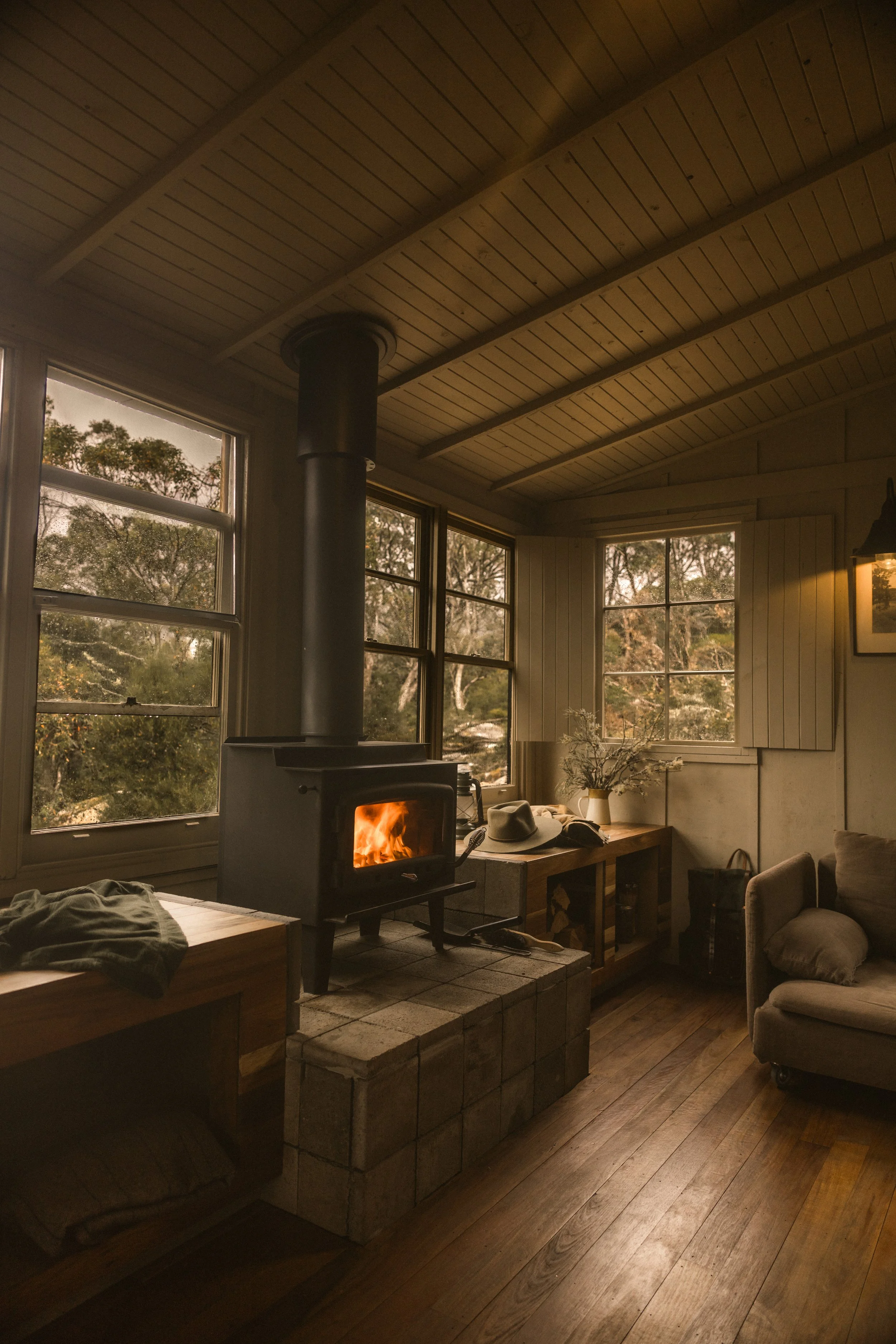 TOBIAS - January 10, 2026 08-10-14.jpg