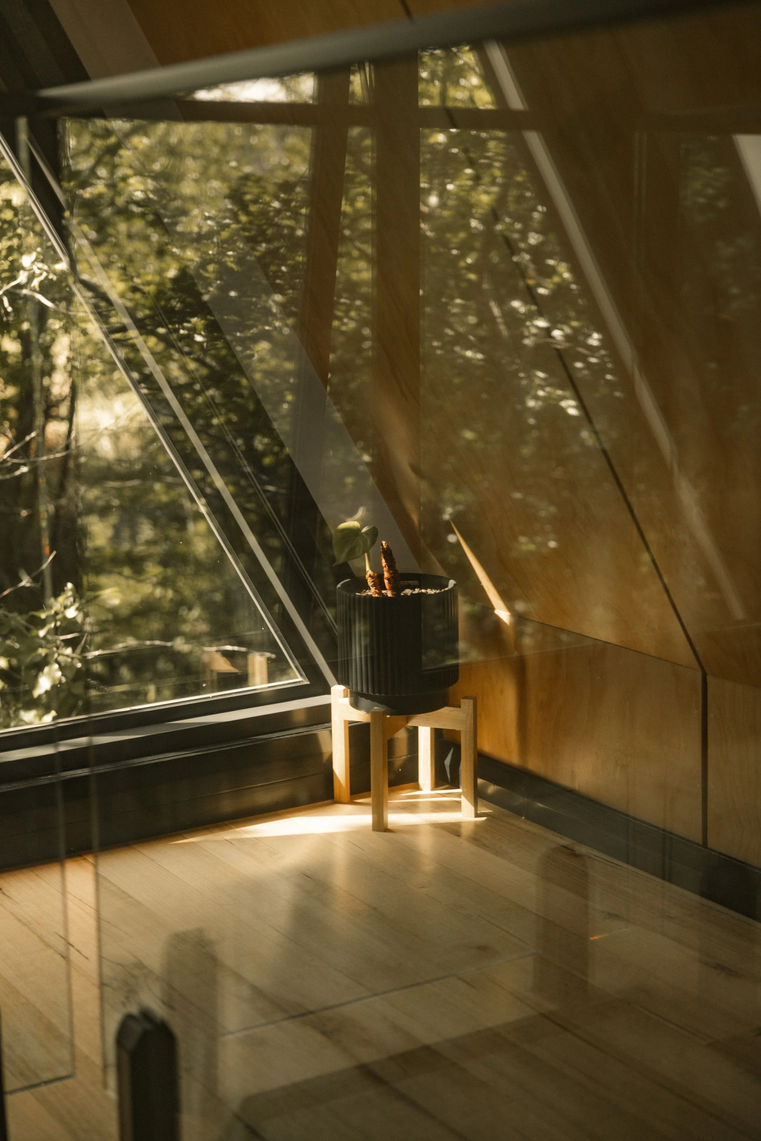 TOBIAS - January 12, 2026 14-07-07.jpg