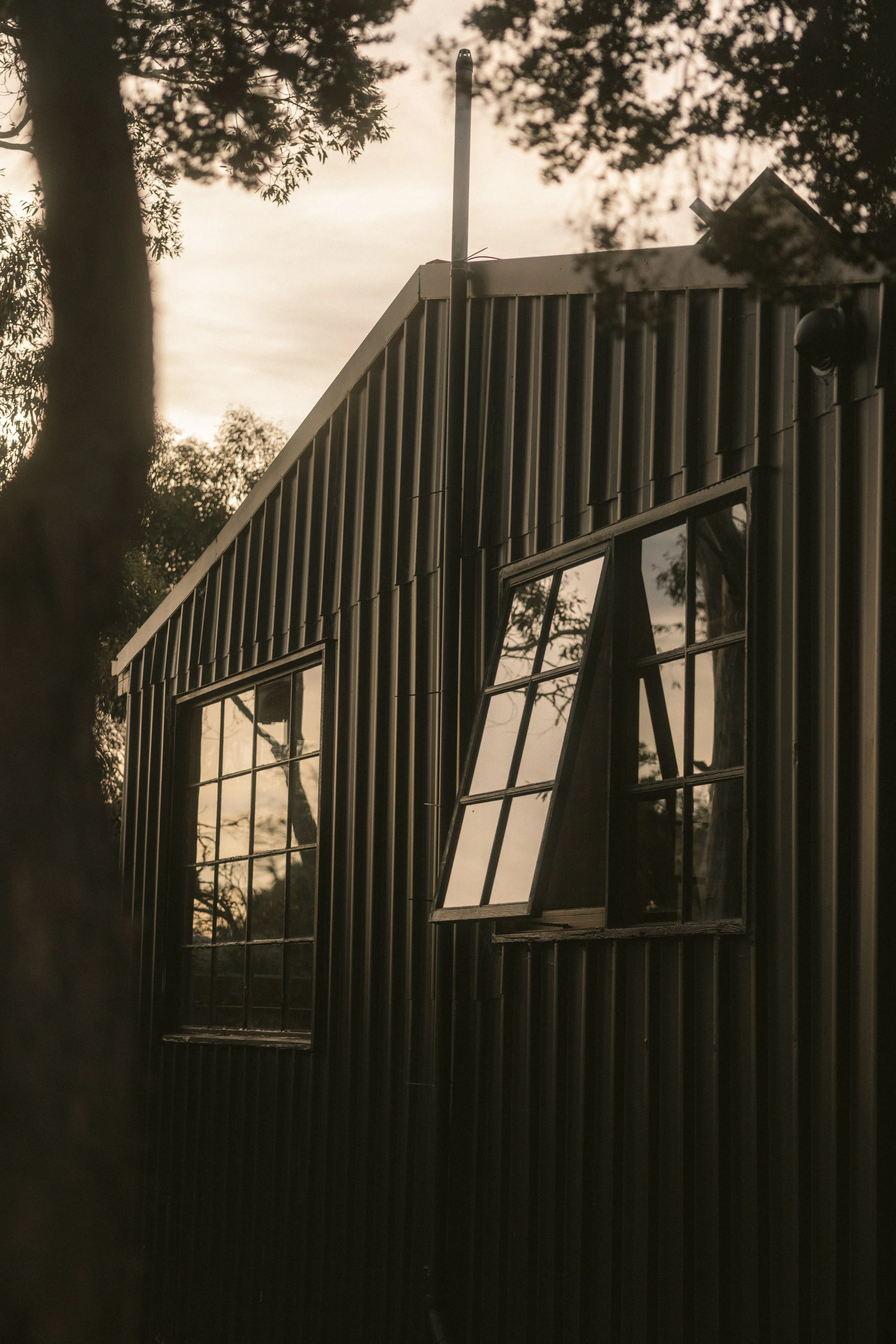 TOBIAS - January 08, 2026 16-53-53.jpg