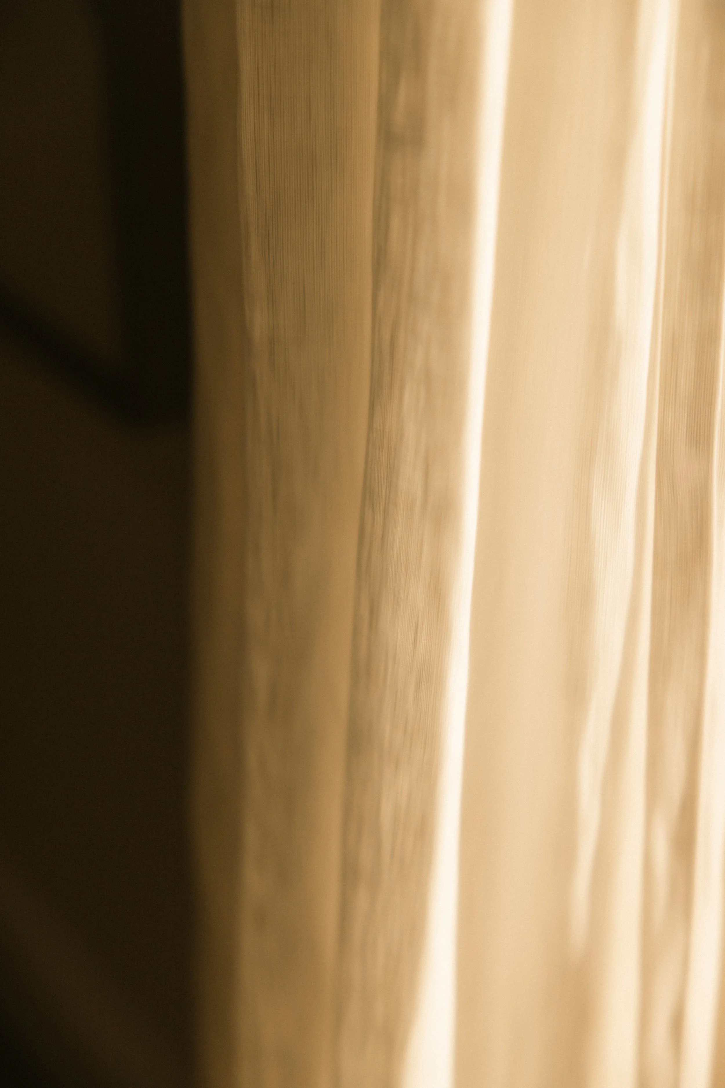 TOBIAS - March 27, 2026 04-47-22.jpg