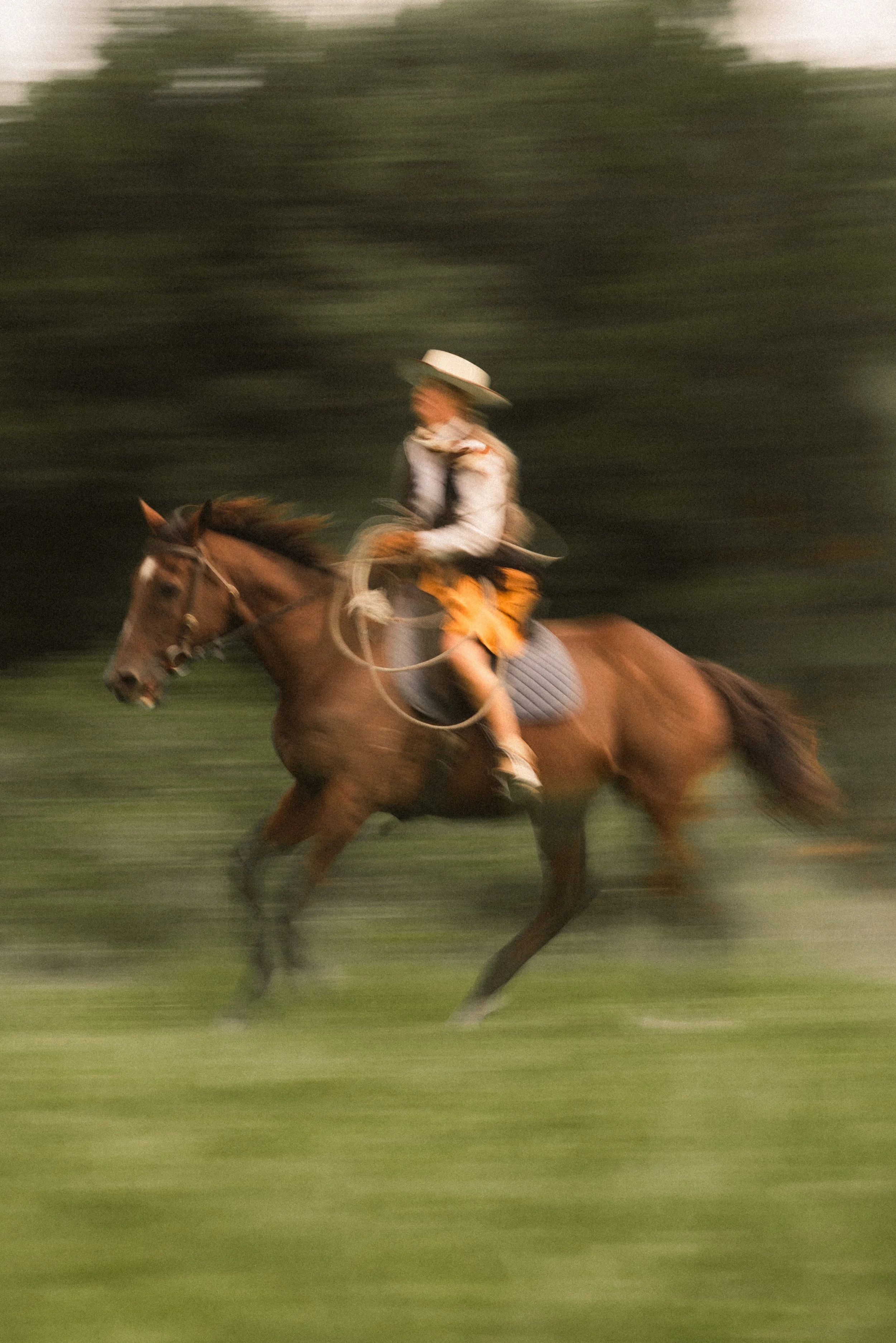 TOBIAS - March 15, 2026 14-57-29.jpg