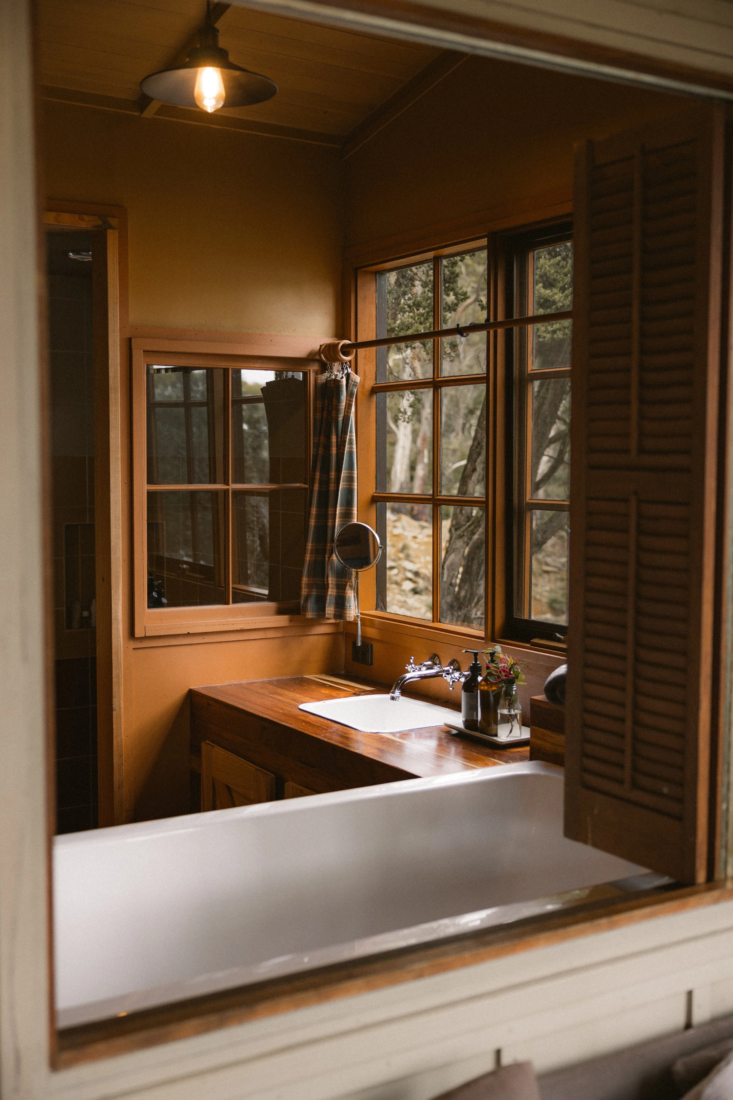 TOBIAS - January 10, 2026 10-36-14.jpg