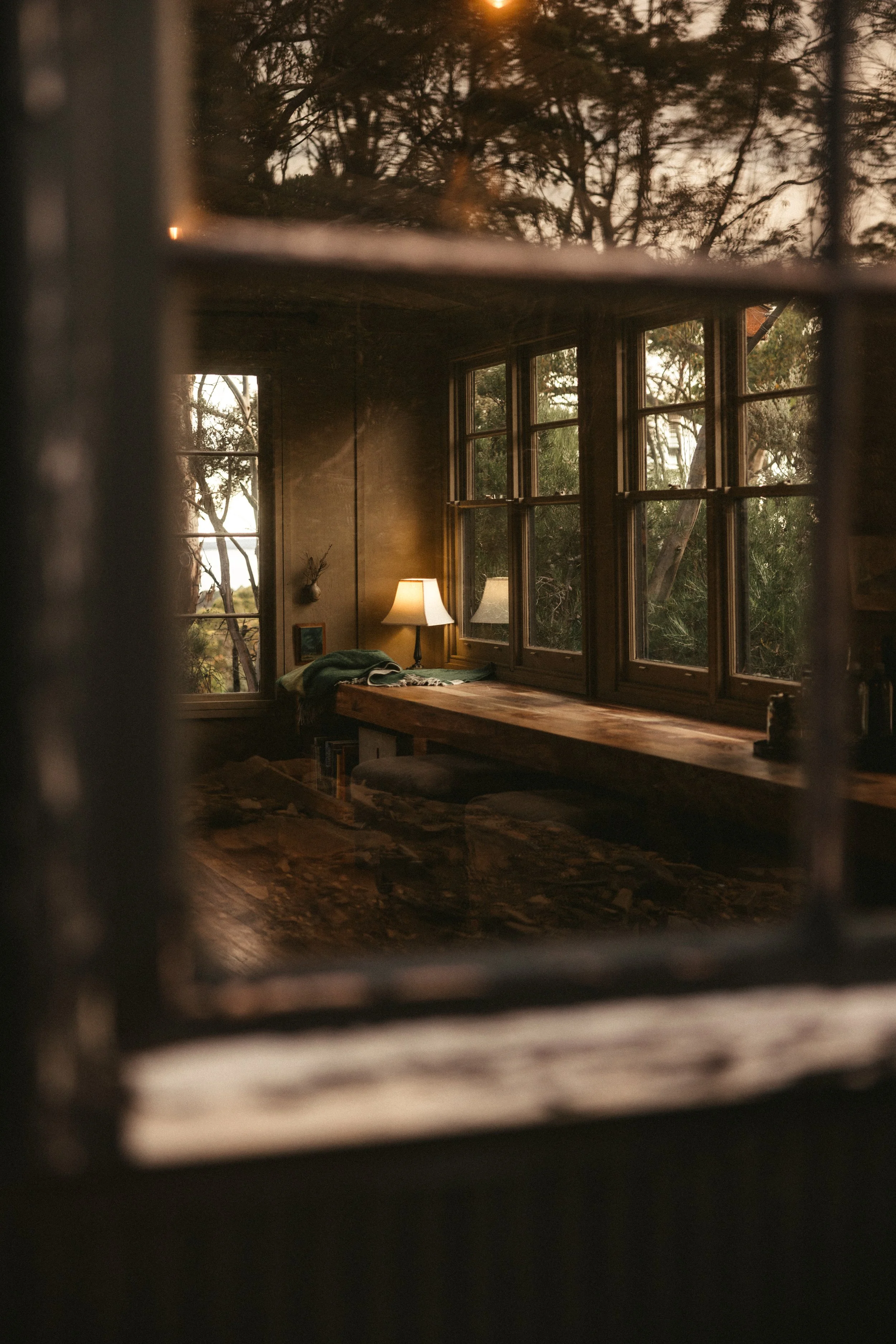 TOBIAS - January 08, 2026 17-05-35.jpg