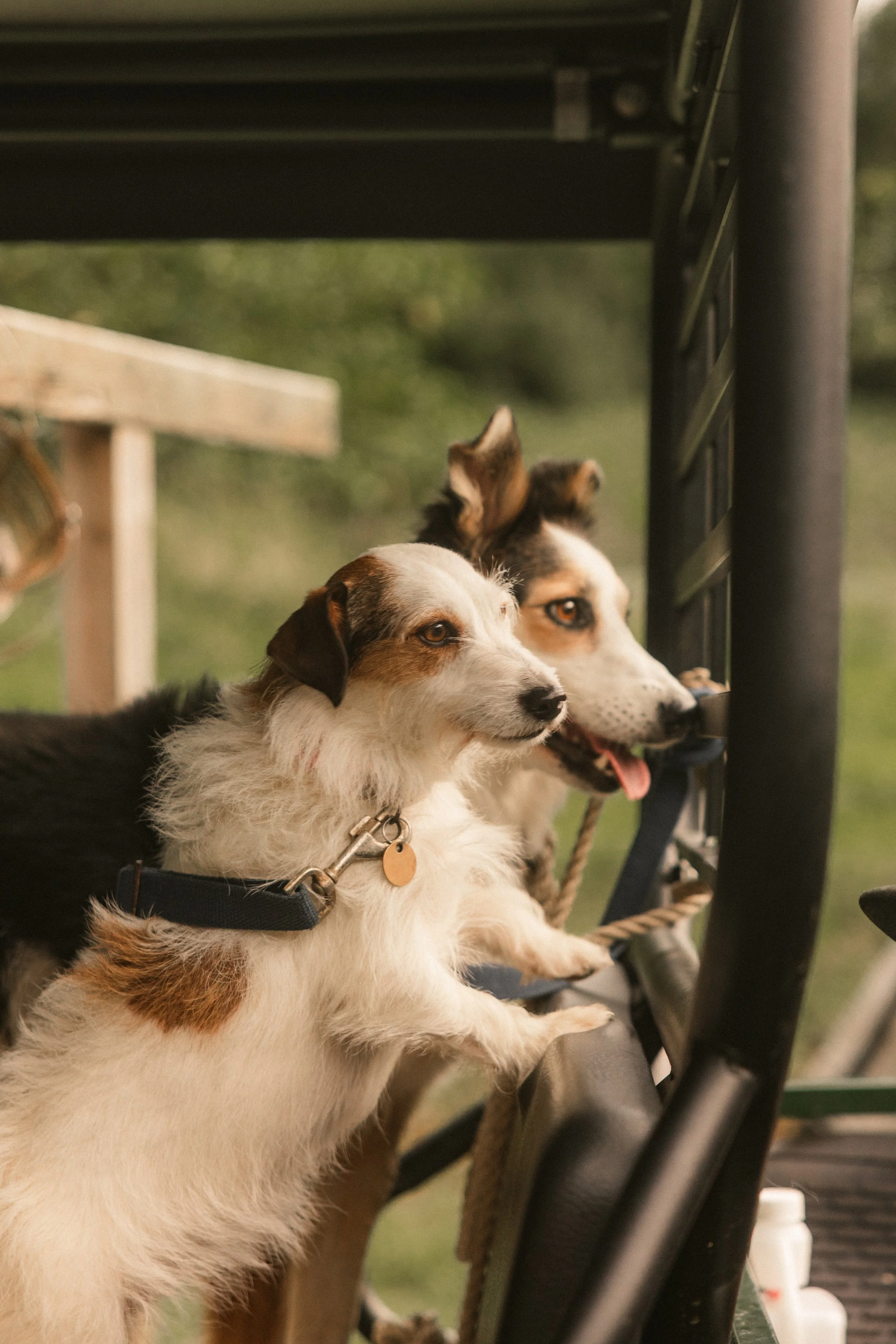 TOBIAS - March 15, 2026 14-17-54.jpg