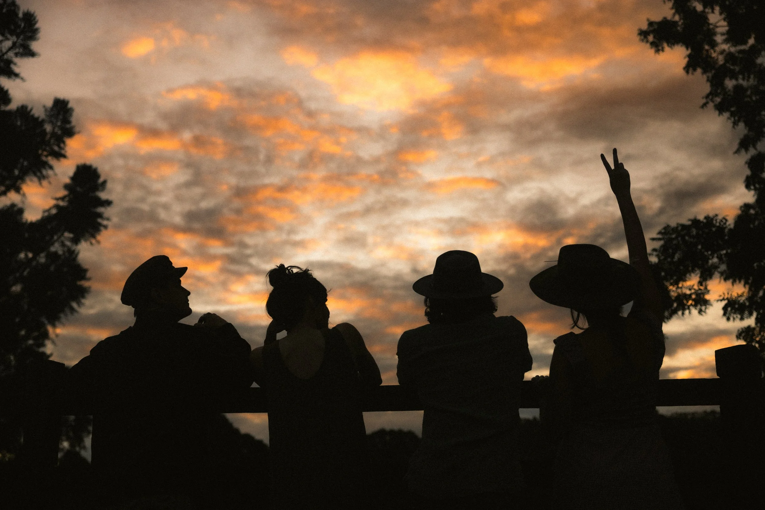 TOBIAS - March 20, 2026 15-58-44.jpg