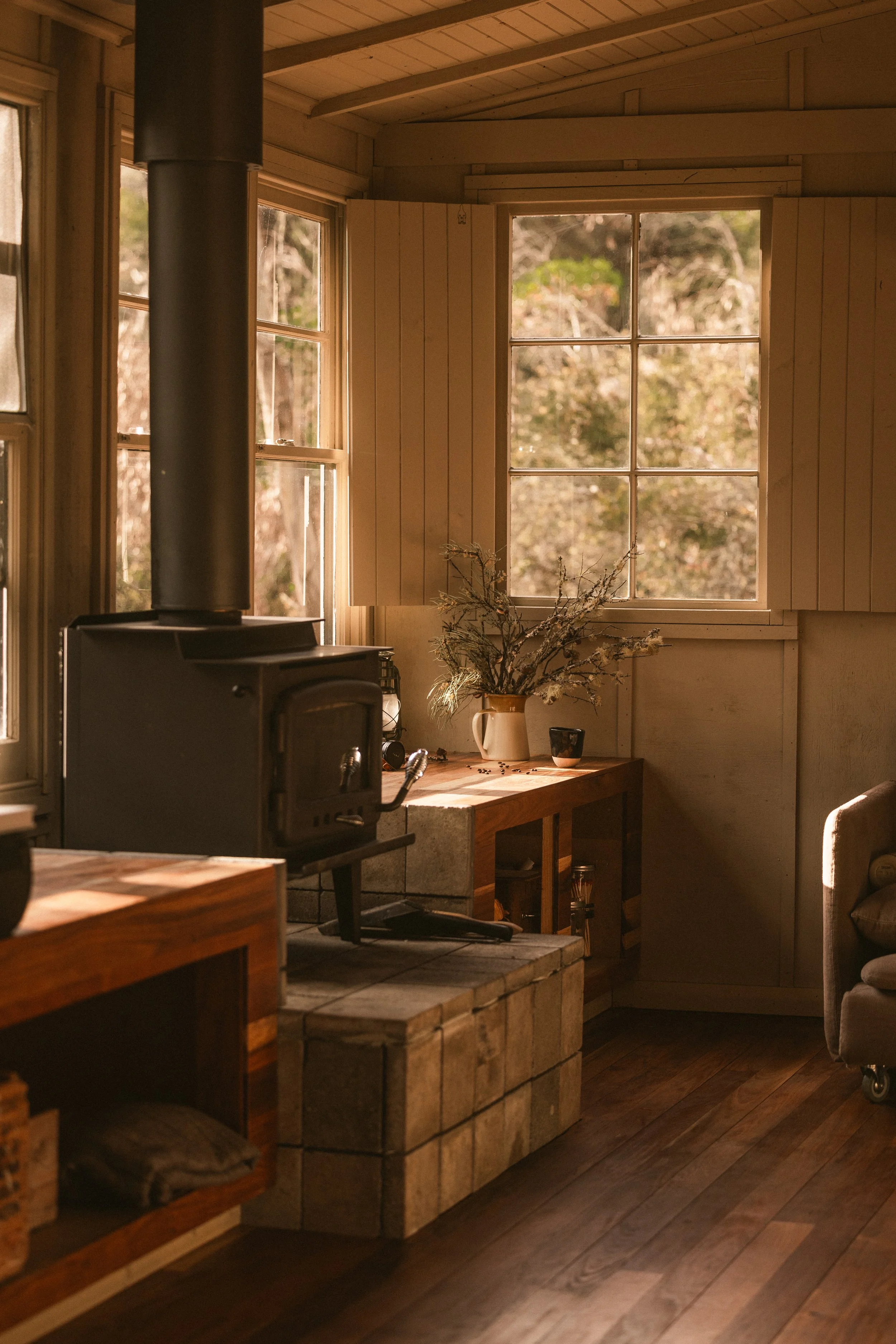 TOBIAS - January 10, 2026 16-13-36.jpg