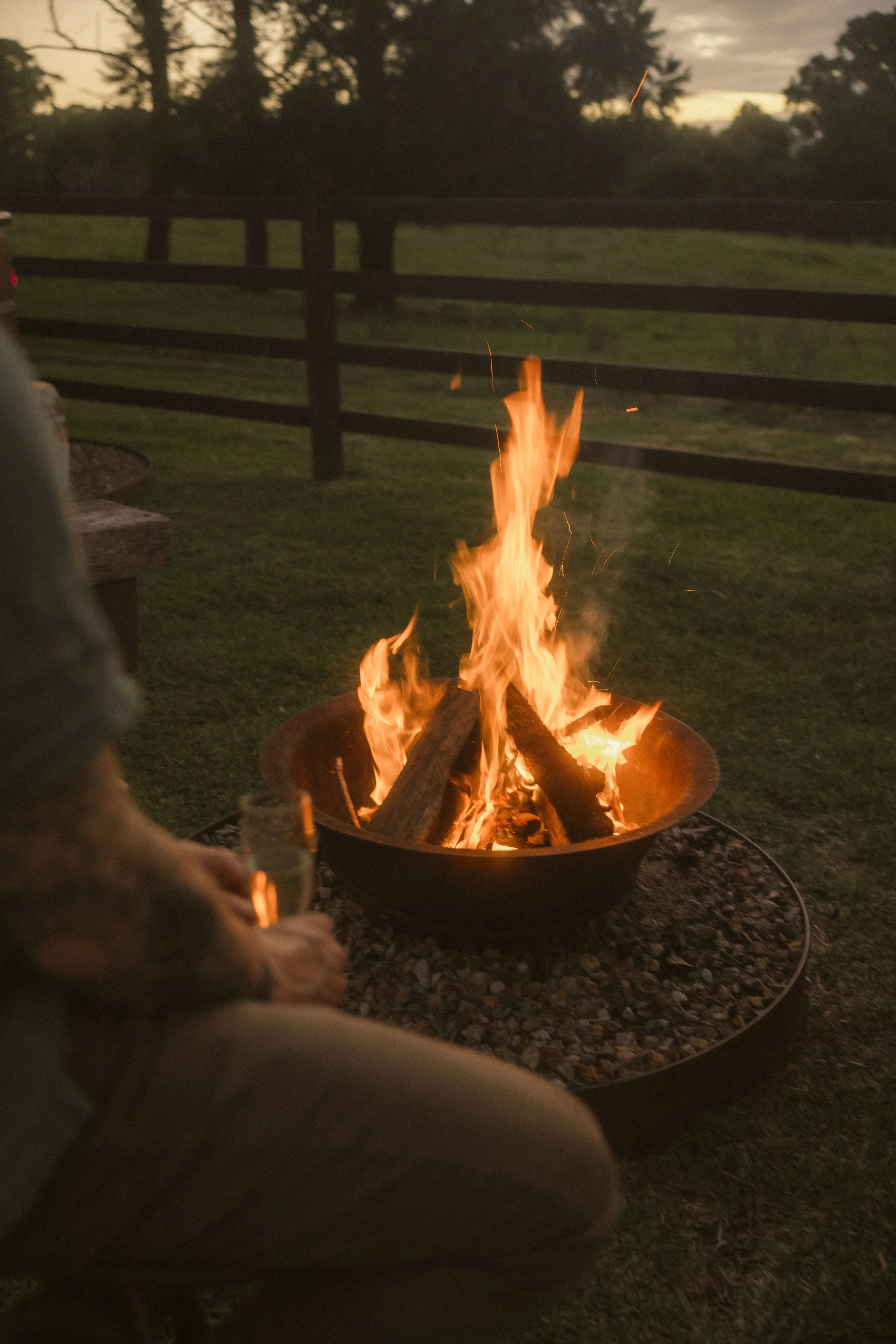 TOBIAS - March 20, 2026 16-16-14.jpg