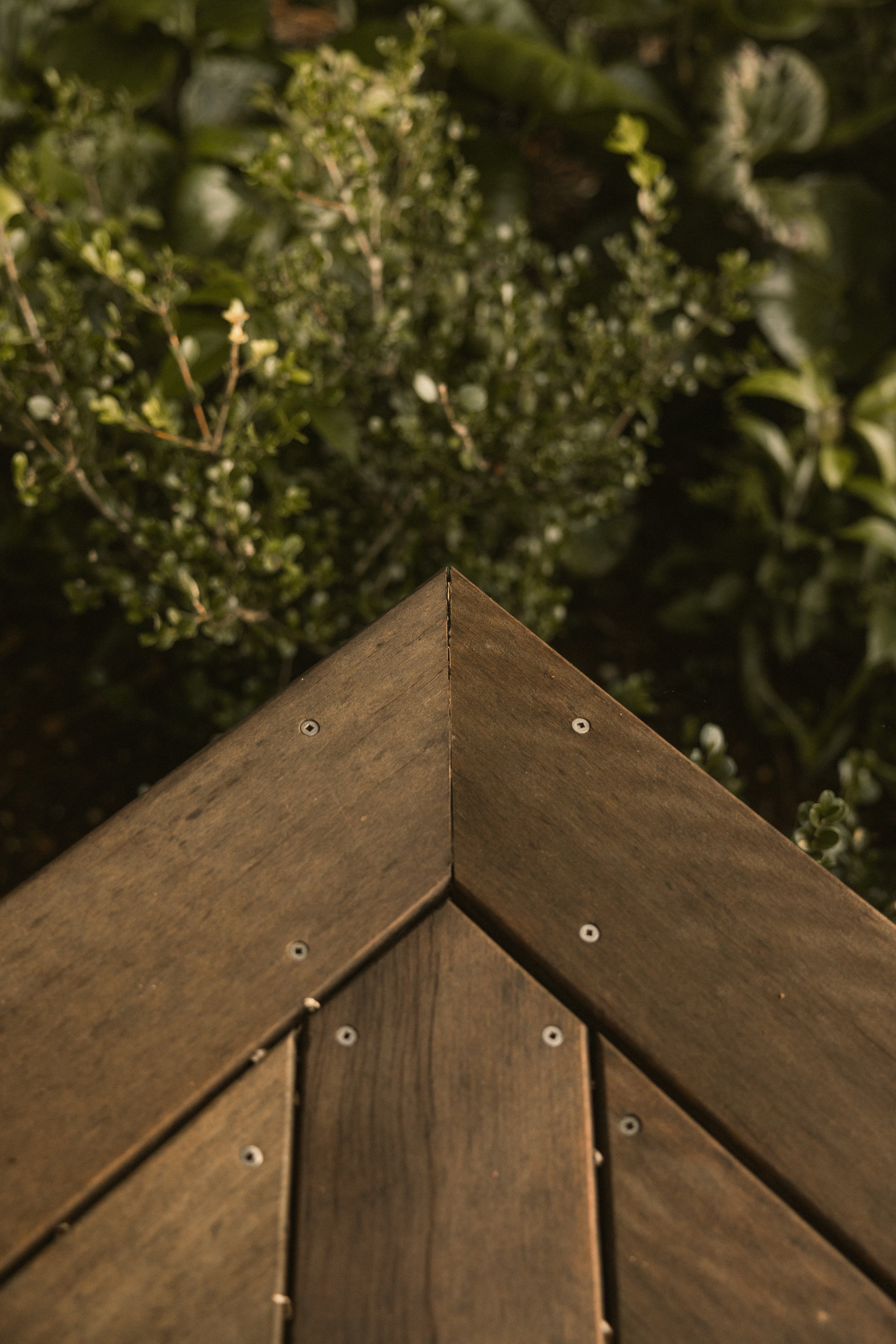 TOBIAS - March 27, 2026 04-16-07.jpg