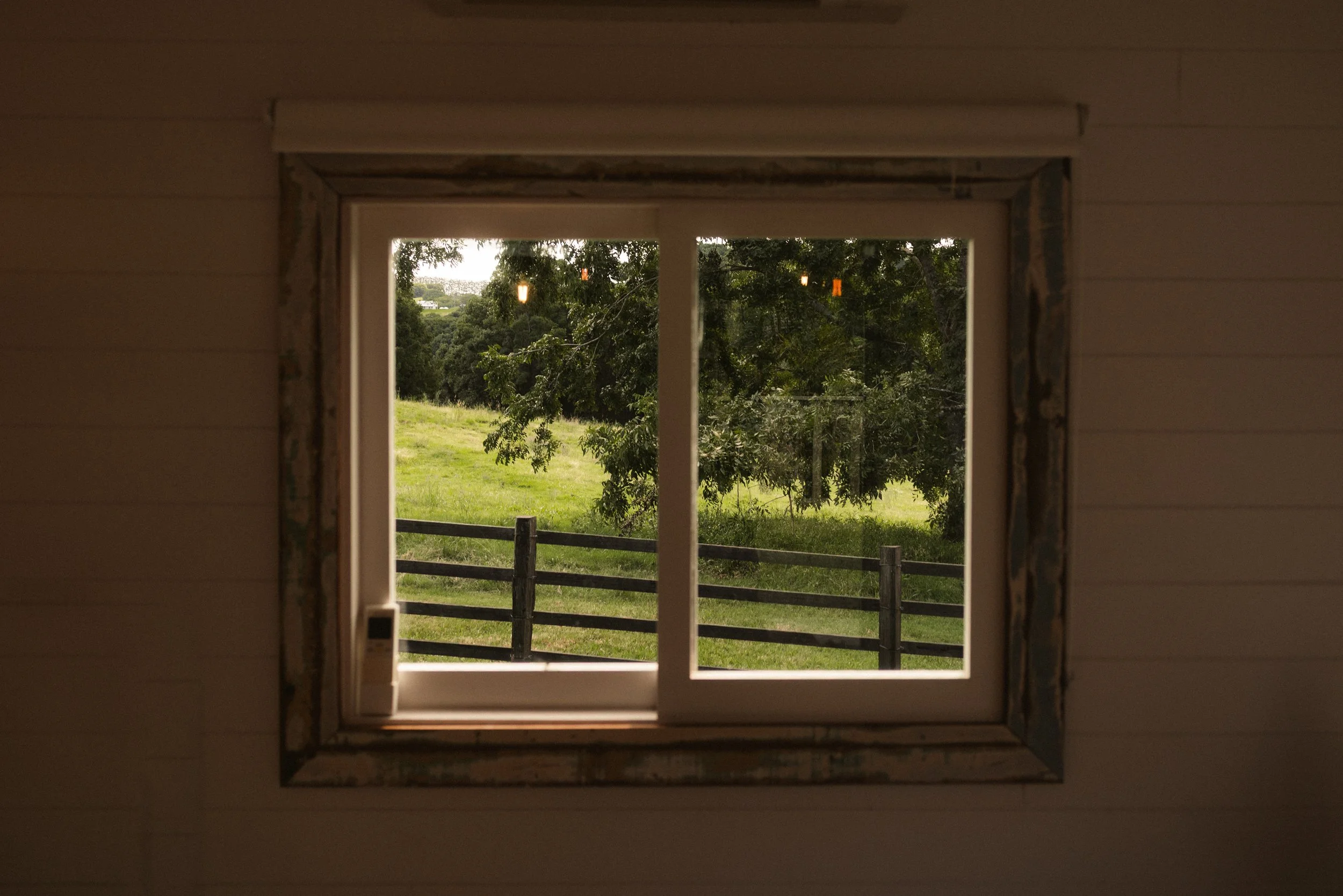 TOBIAS - March 20, 2026 12-00-59.jpg