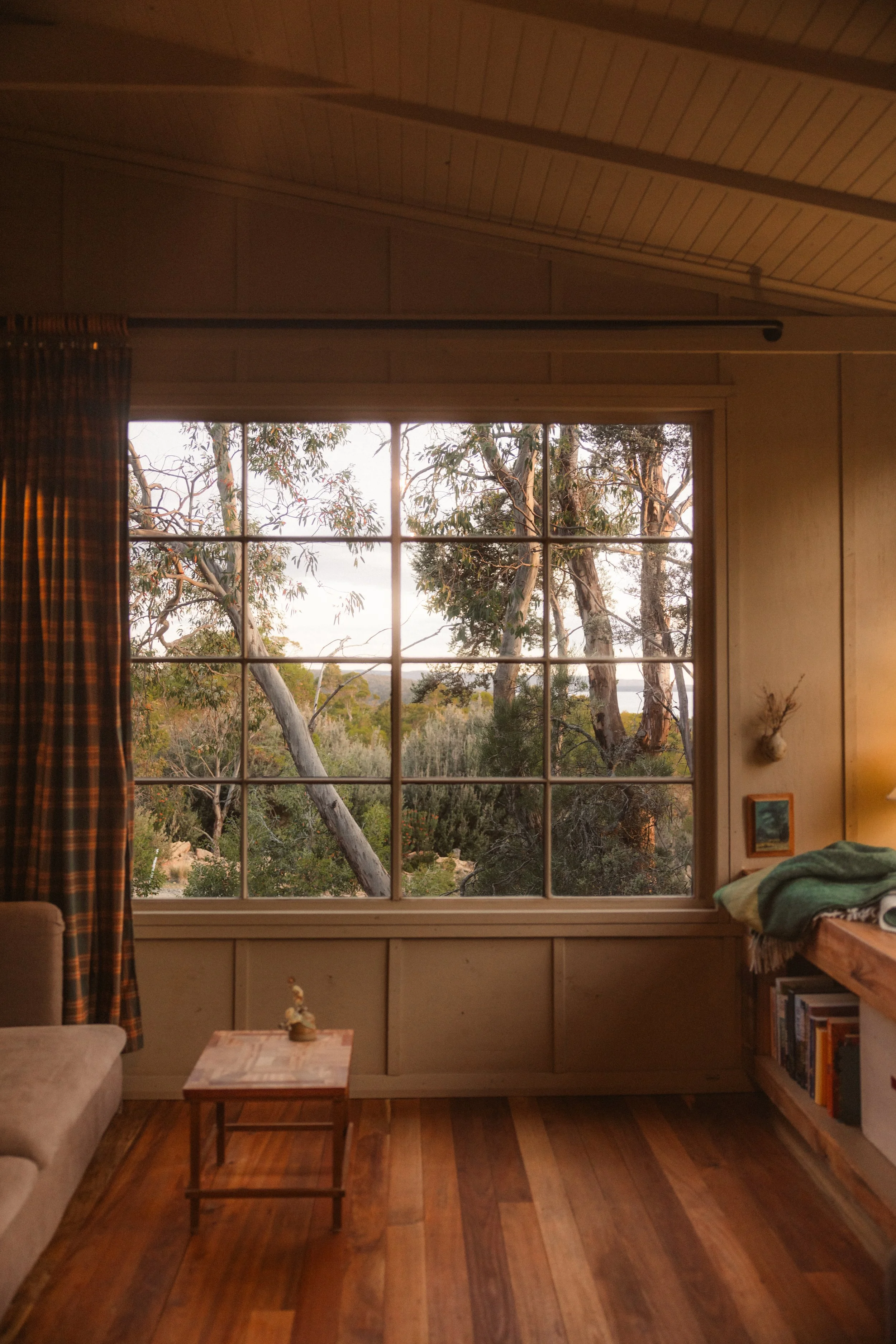 TOBIAS - January 08, 2026 17-32-35.jpg