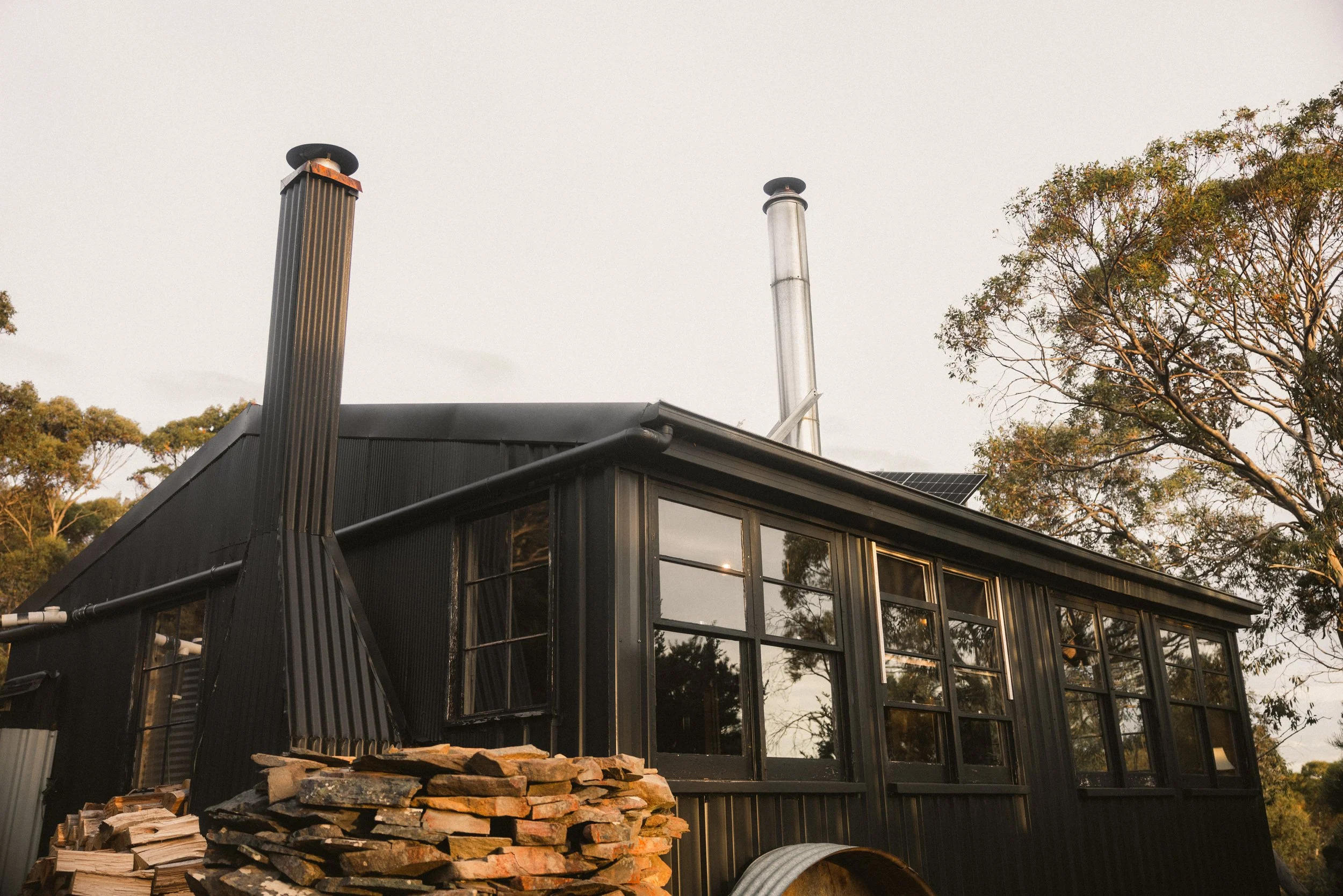 TOBIAS - January 08, 2026 17-25-33.jpg