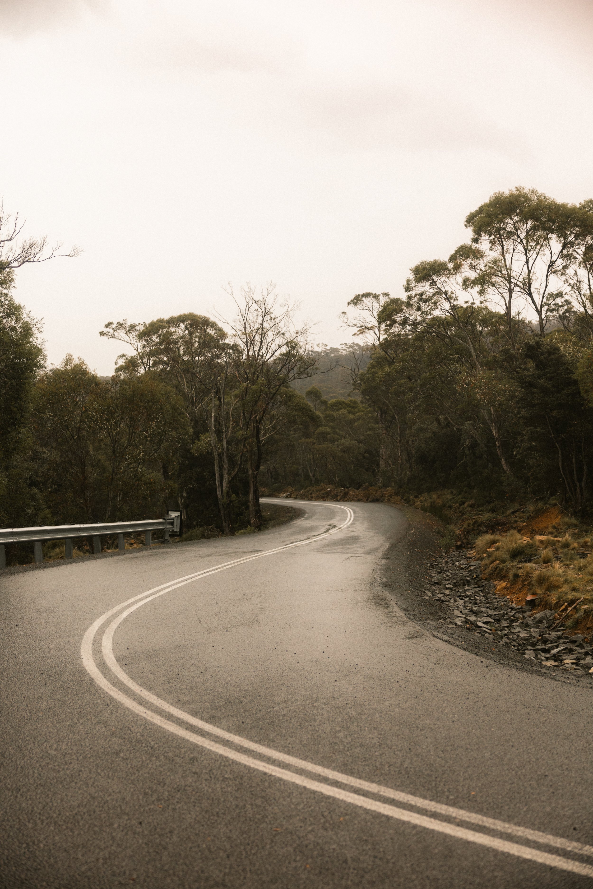 TOBIAS - January 09, 2026 14-06-59.jpg