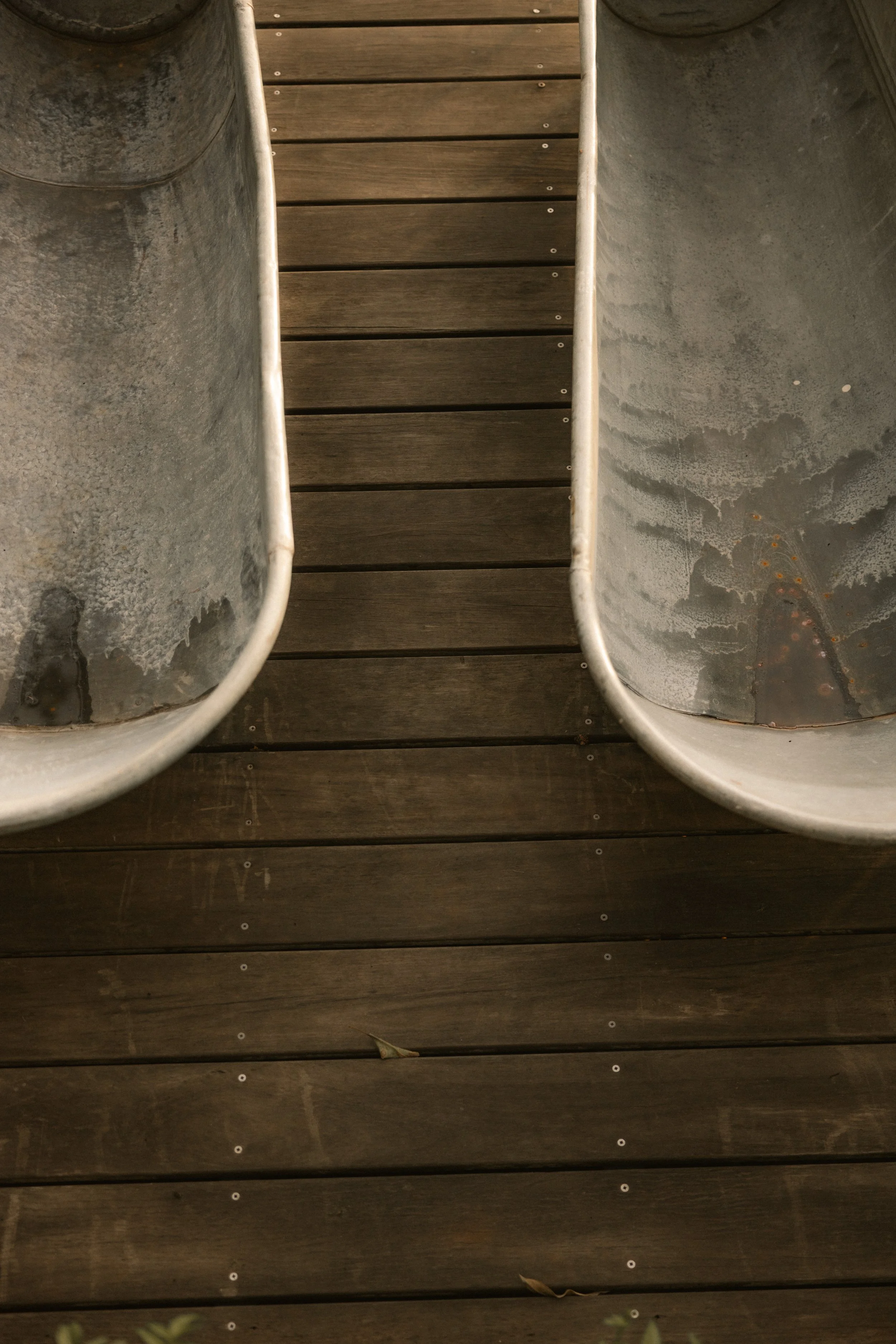 TOBIAS - March 27, 2026 04-27-05.jpg