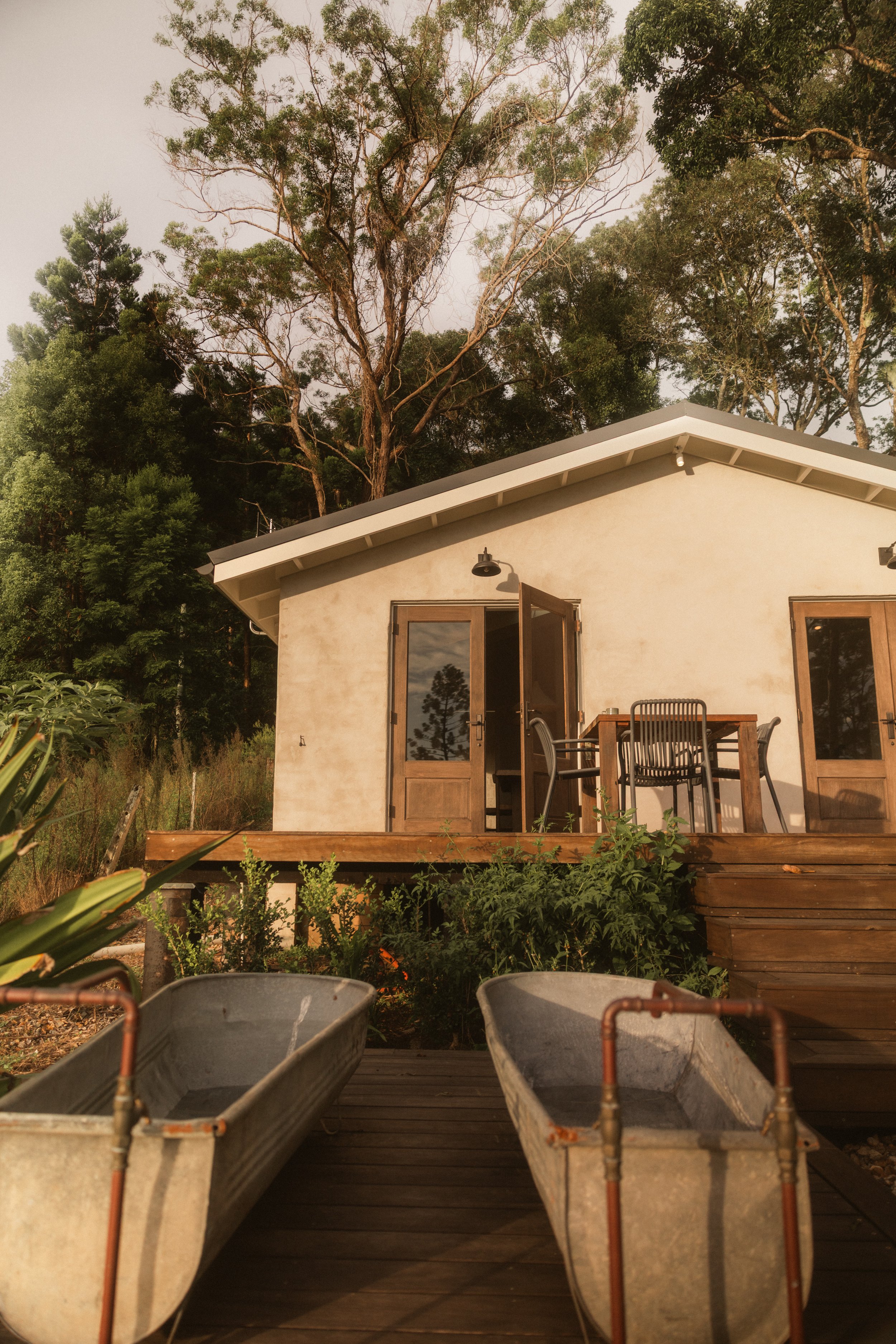 TOBIAS - March 27, 2026 04-53-12.jpg