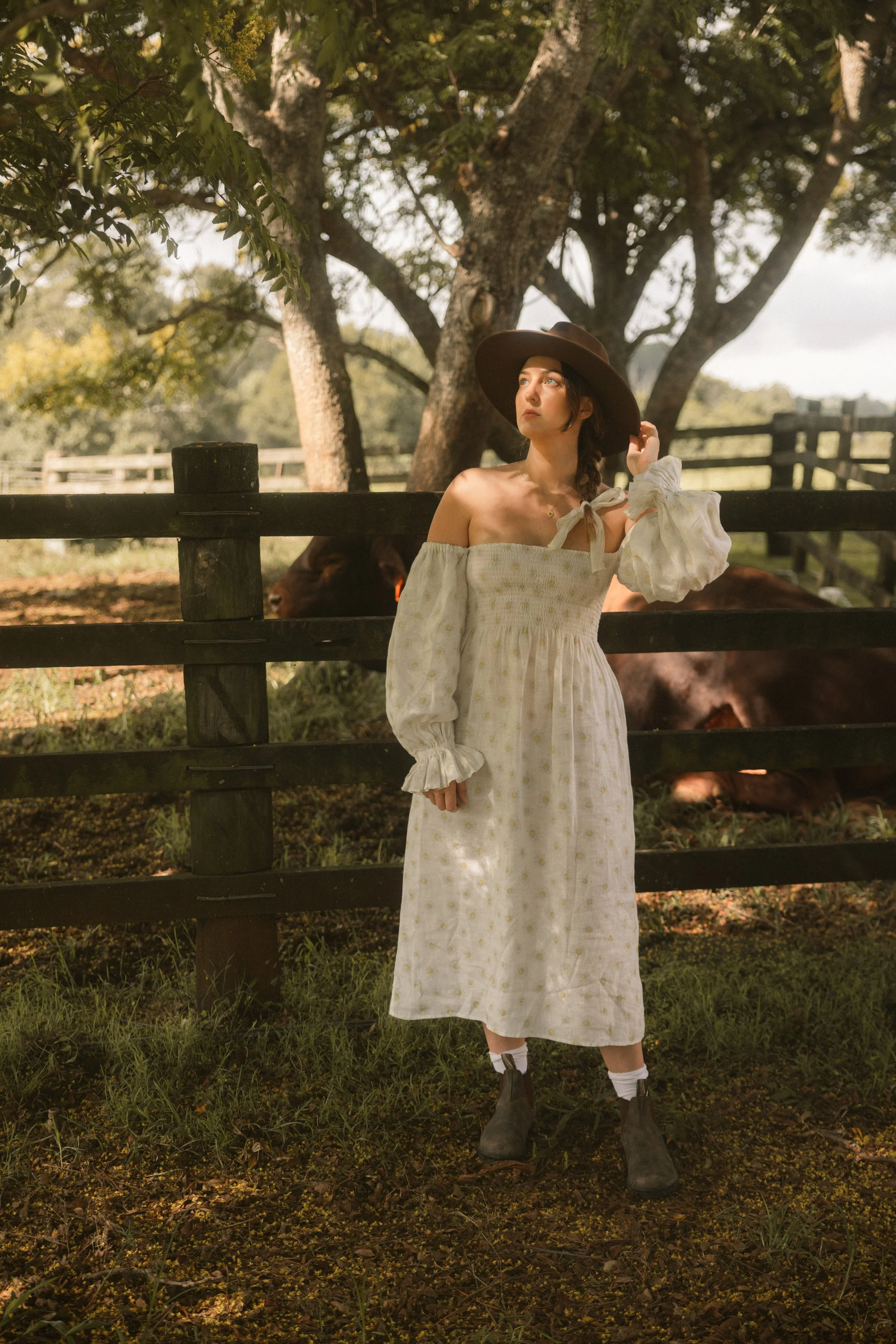 TOBIAS - March 22, 2026 07-15-13.jpg