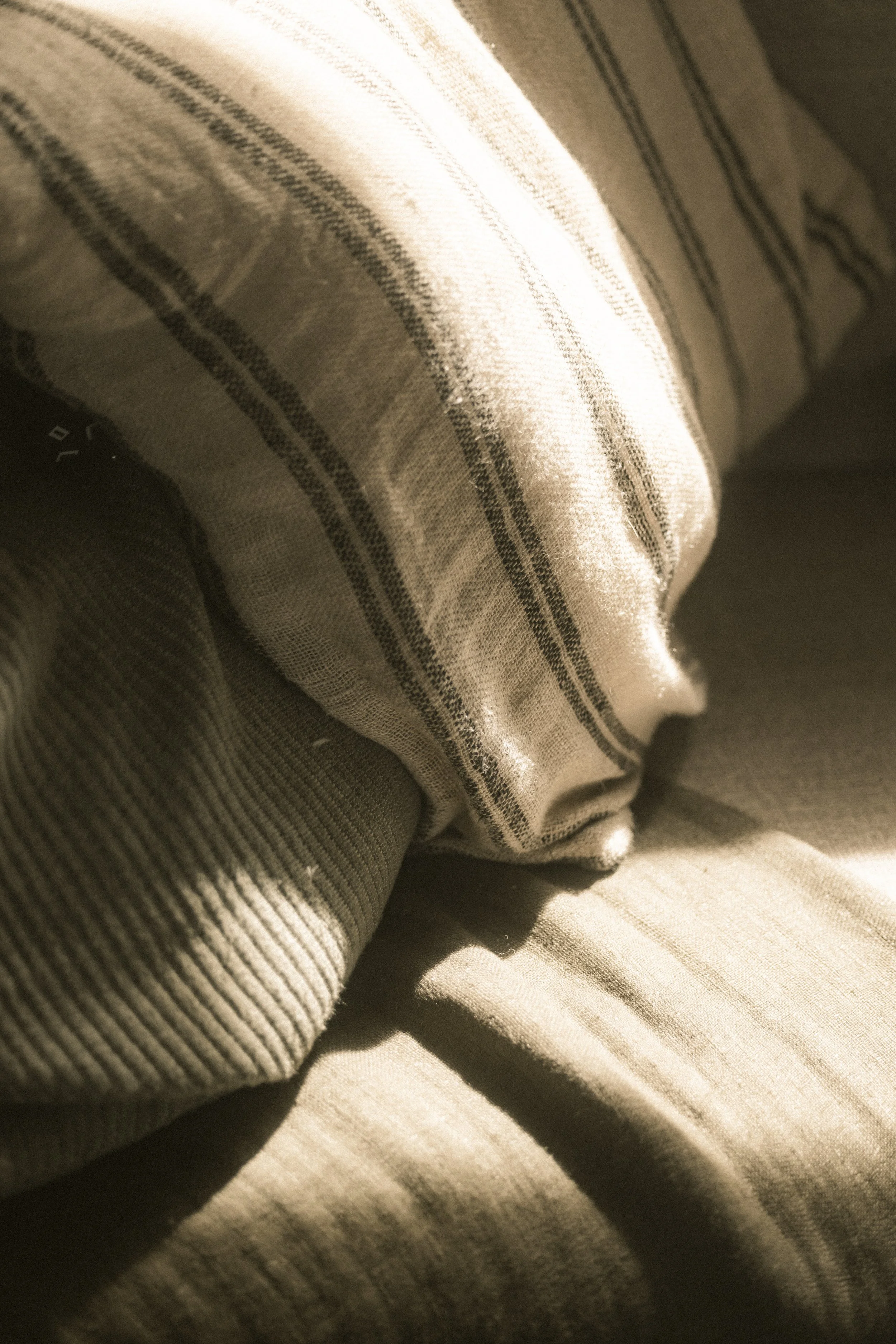 TOBIAS - January 06, 2026 13-41-40.jpg