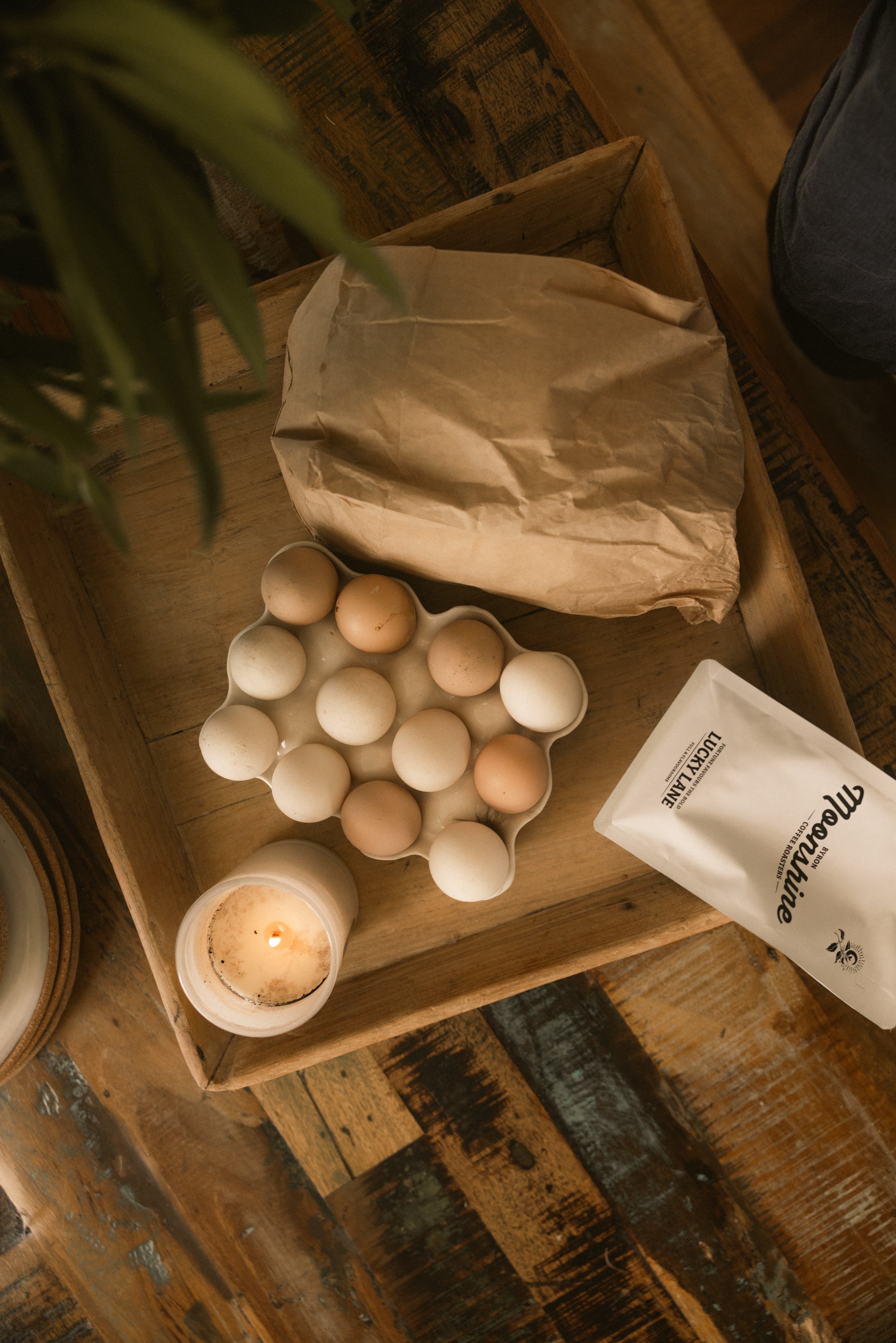 TOBIAS - March 20, 2026 12-04-53.jpg