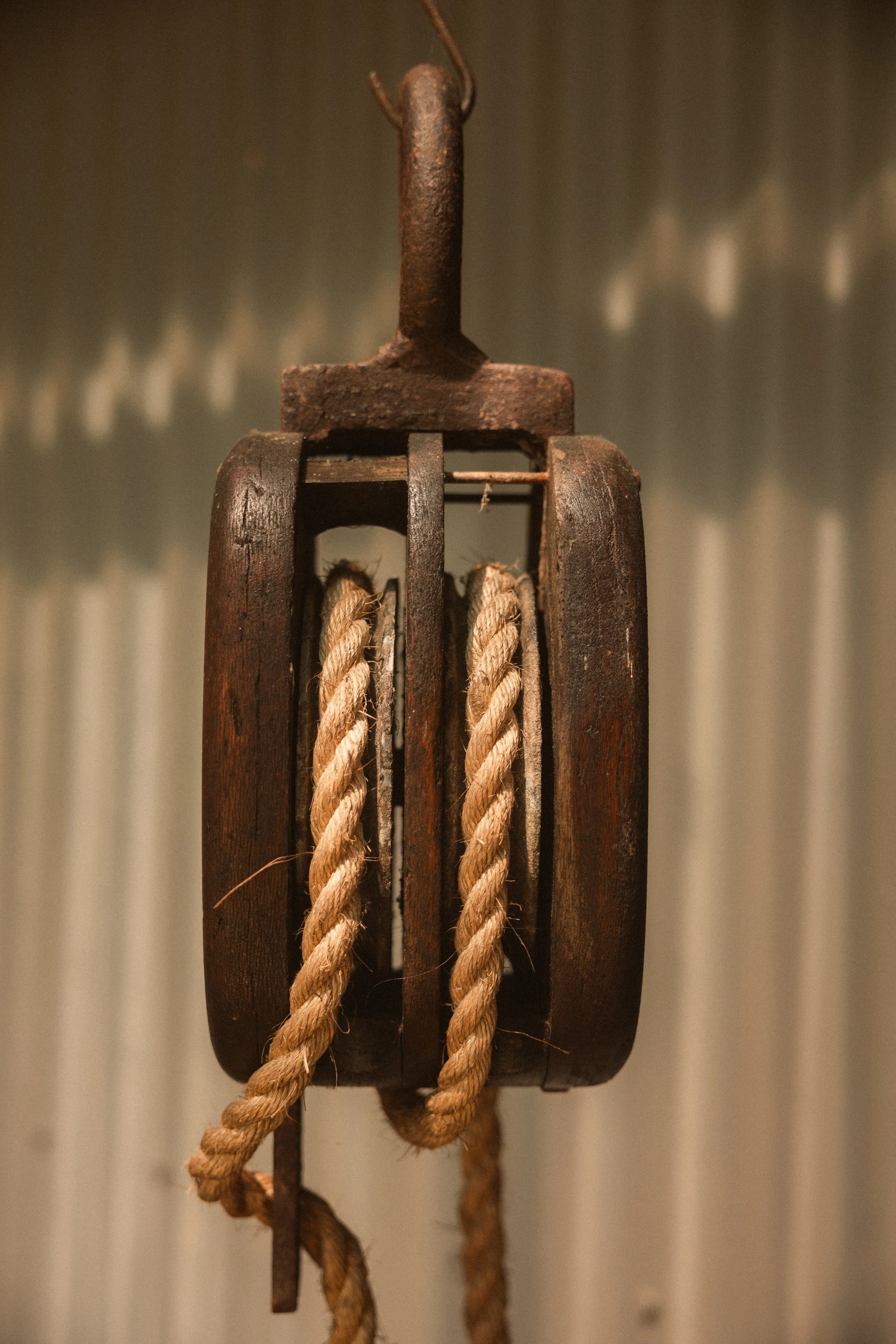 TOBIAS - January 06, 2026 08-19-40.jpg