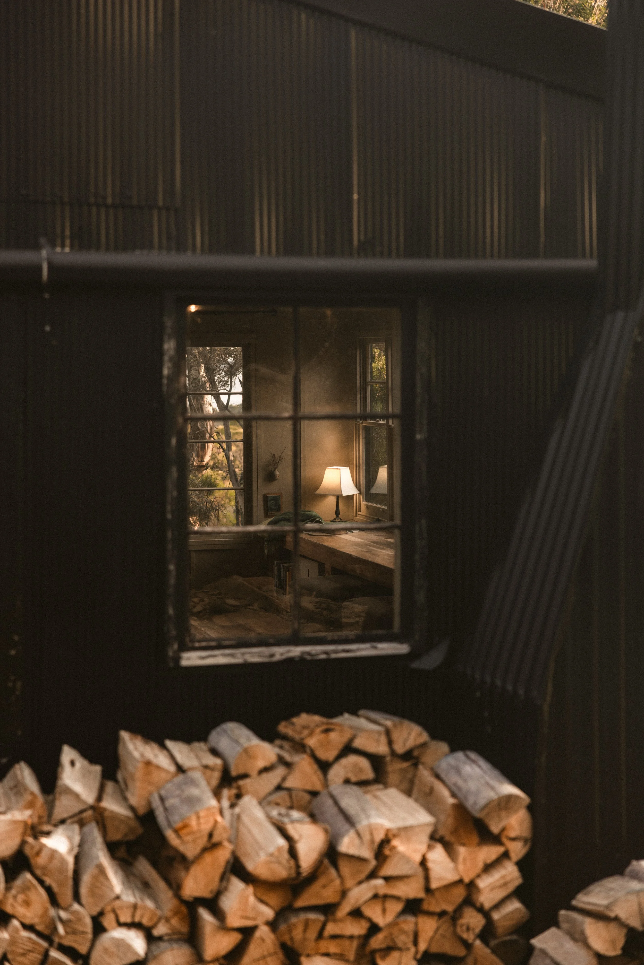 TOBIAS - January 08, 2026 17-27-24.jpg