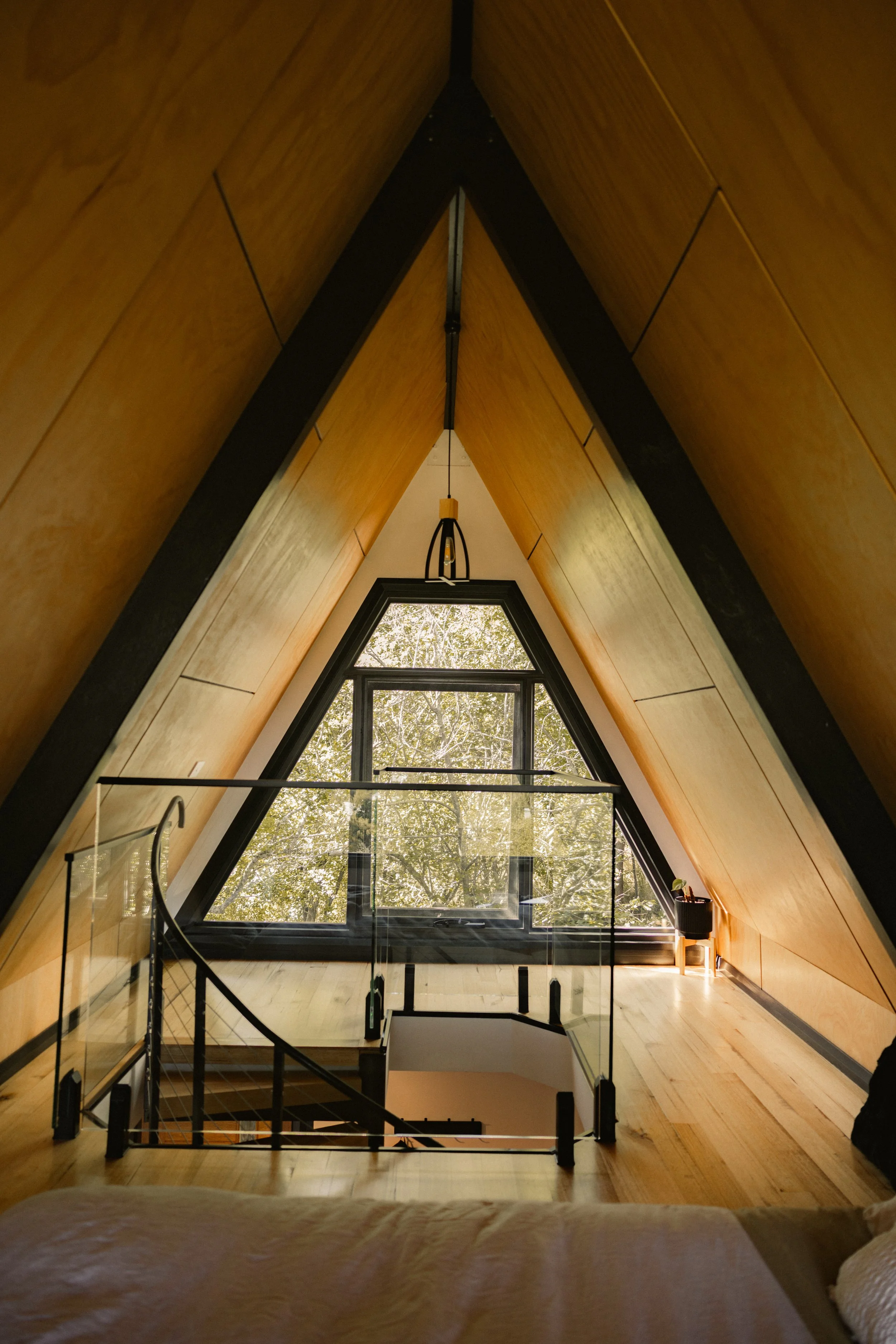 TOBIAS - January 12, 2026 14-10-38.jpg