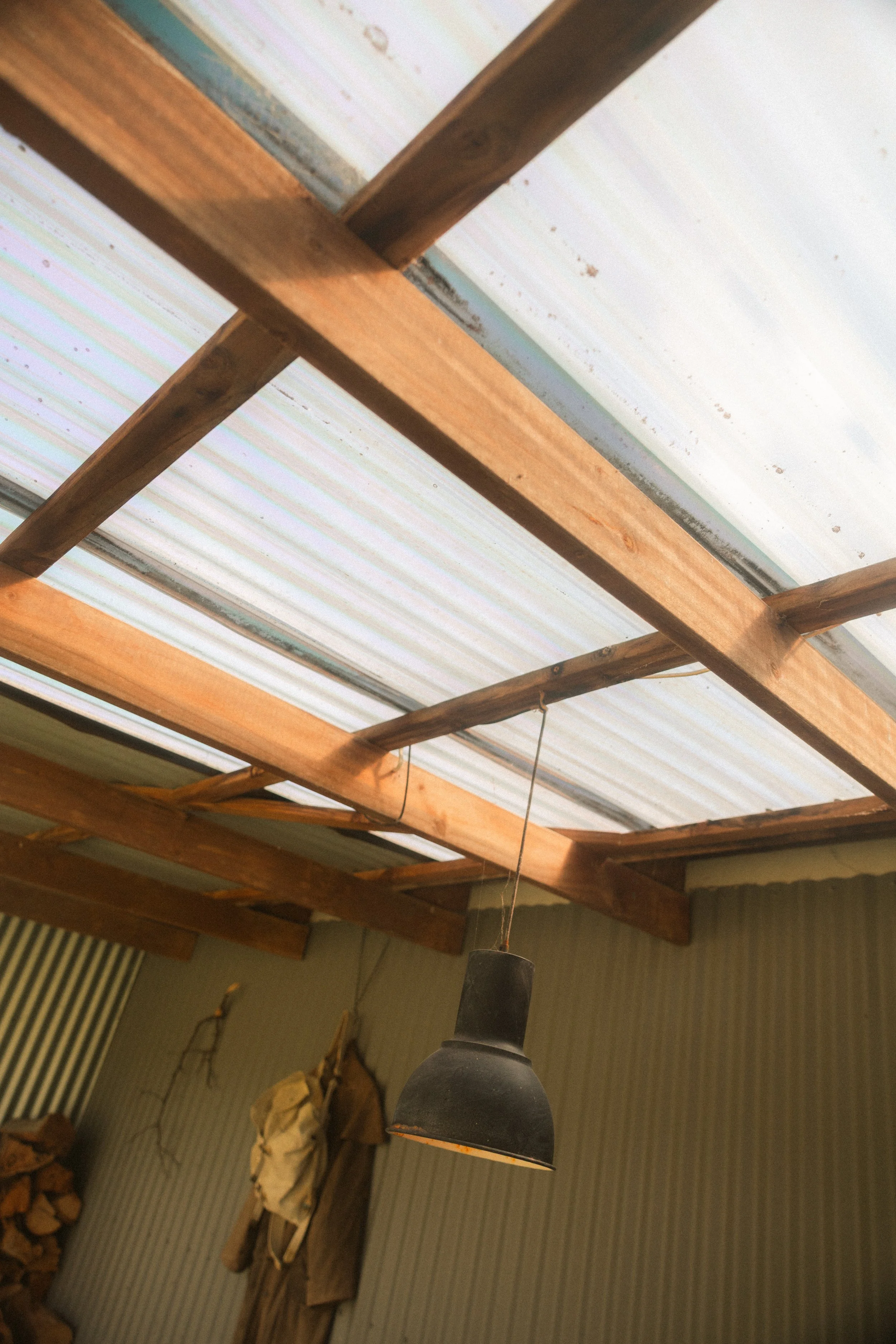 TOBIAS - January 06, 2026 13-32-45.jpg