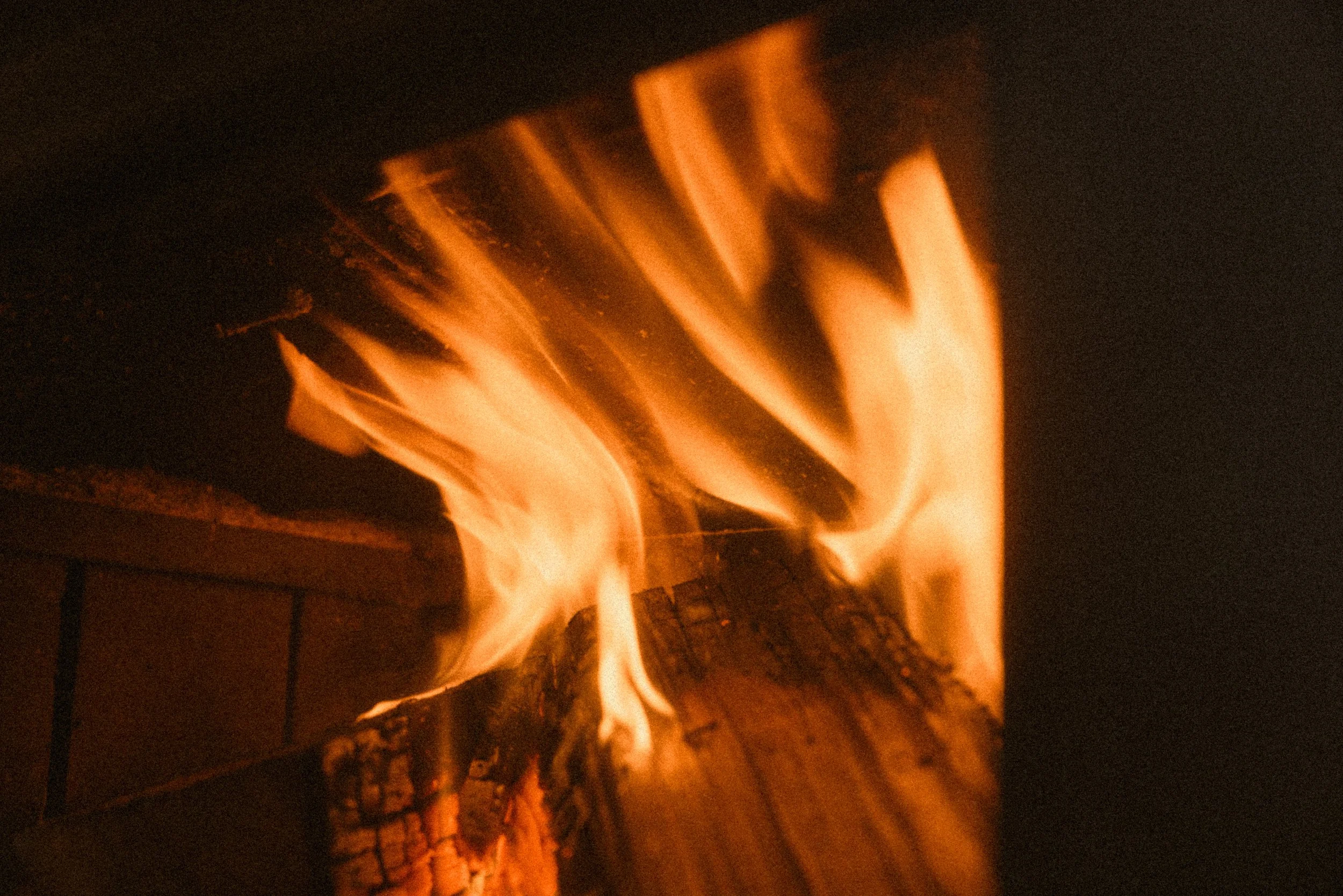 TOBIAS - January 09, 2026 15-26-13.jpg