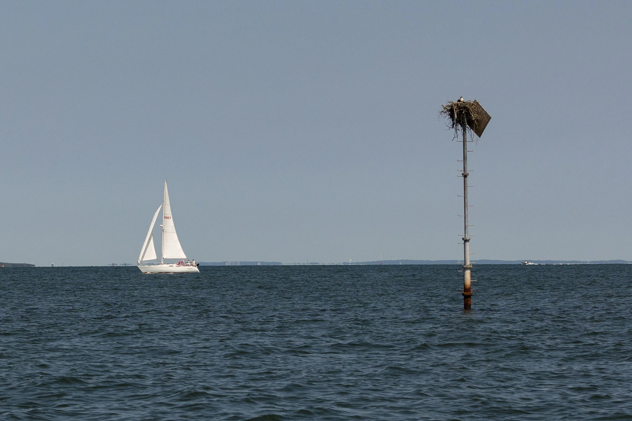7B0A5135.jpg
