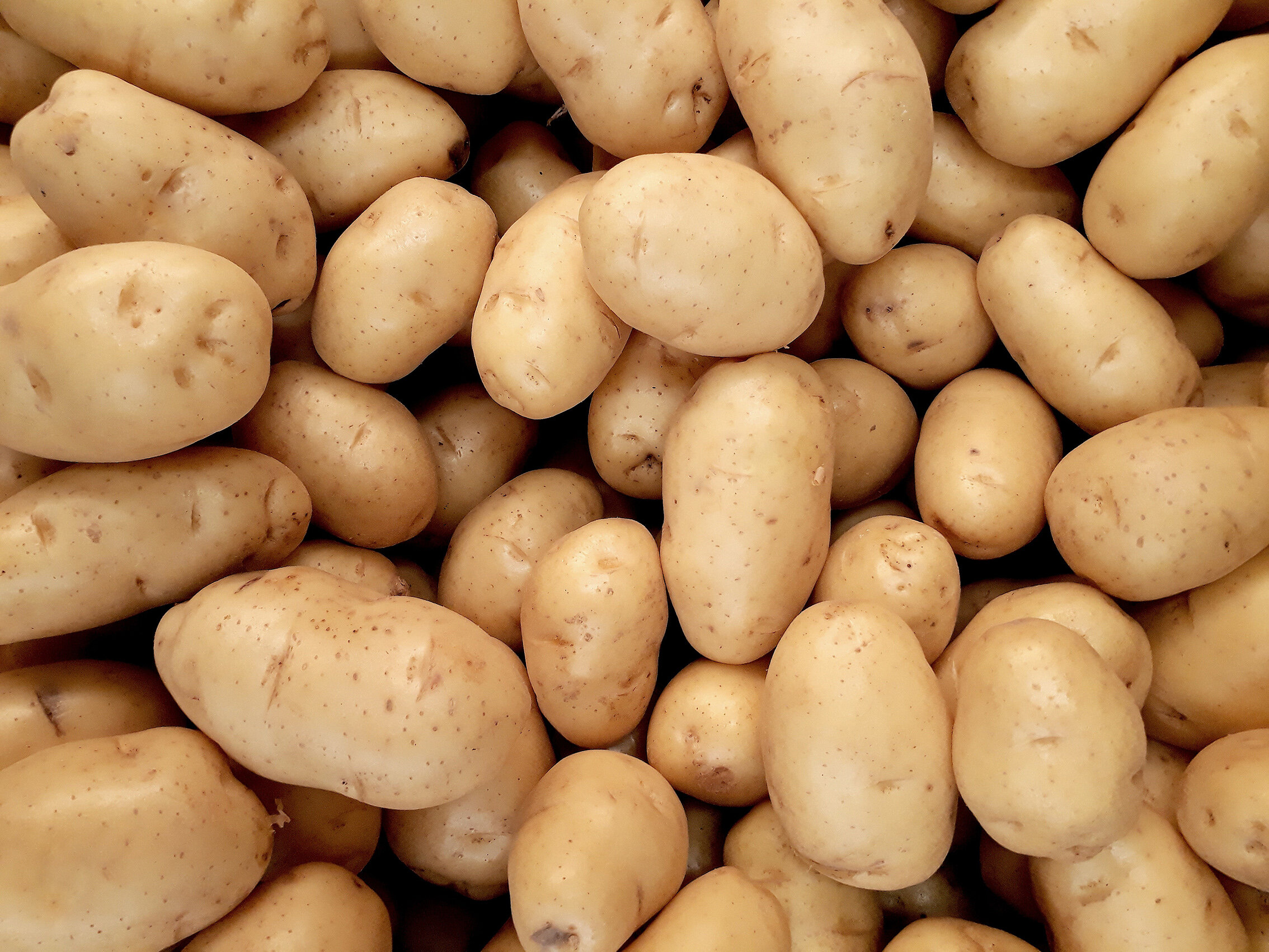 photo-of-pile-of-potatoes-2286776 (1)XS.jpg
