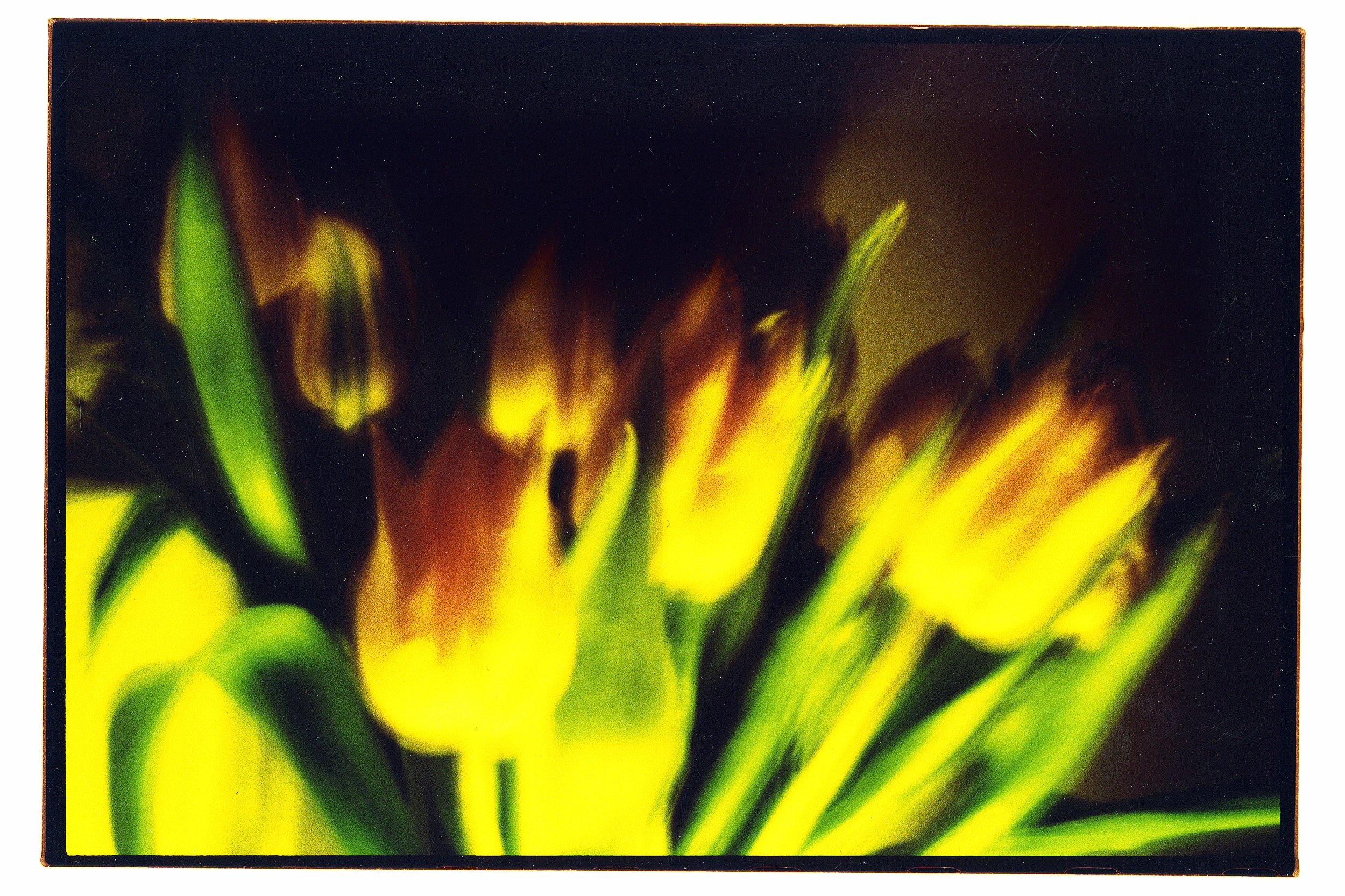 Lausanne / 2002