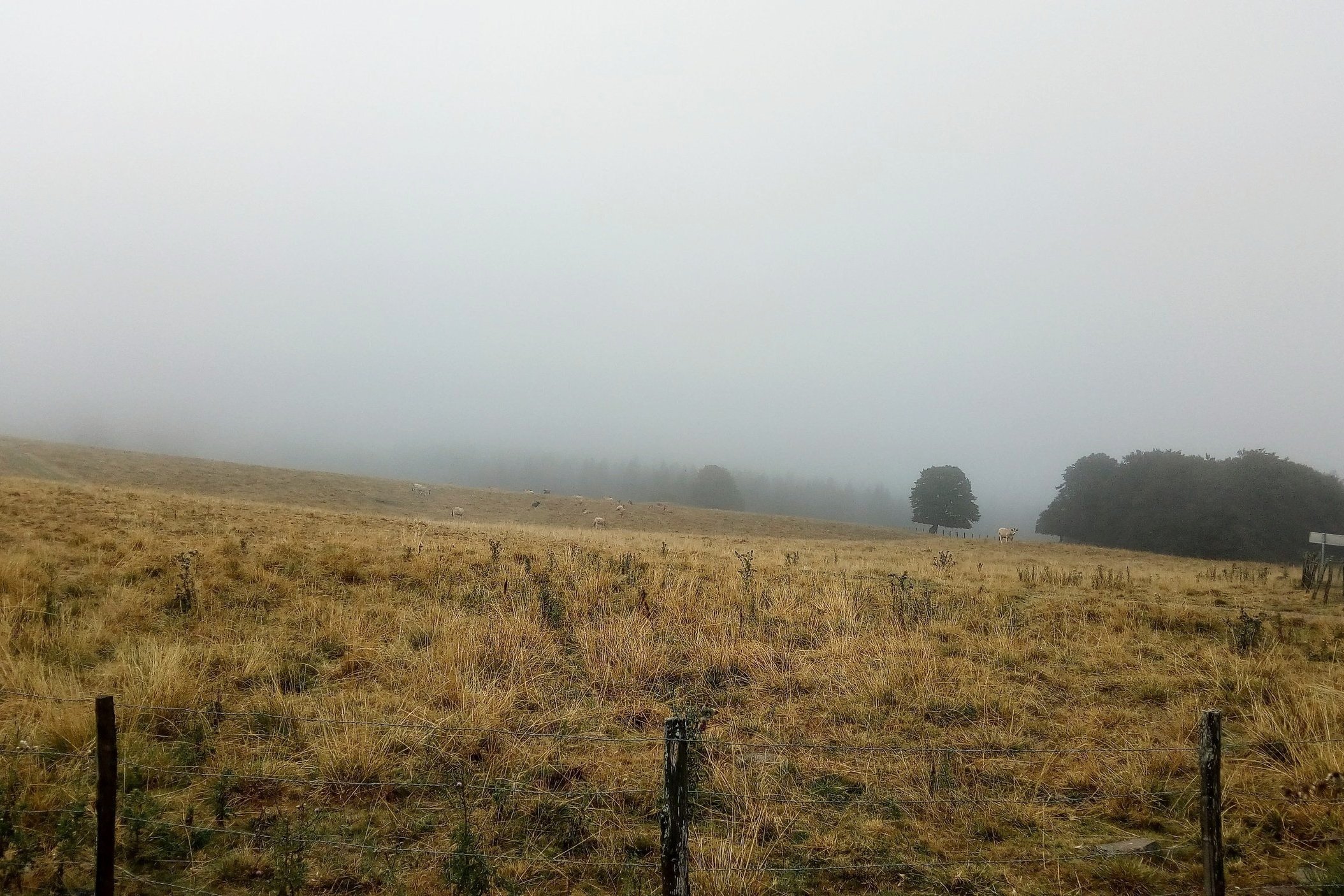 Cantal / 2018