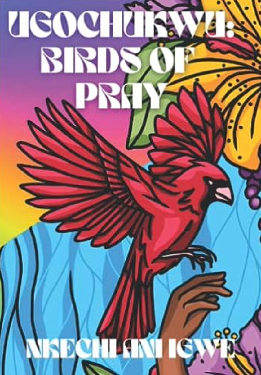 Ugochukwu: Birds of Pray