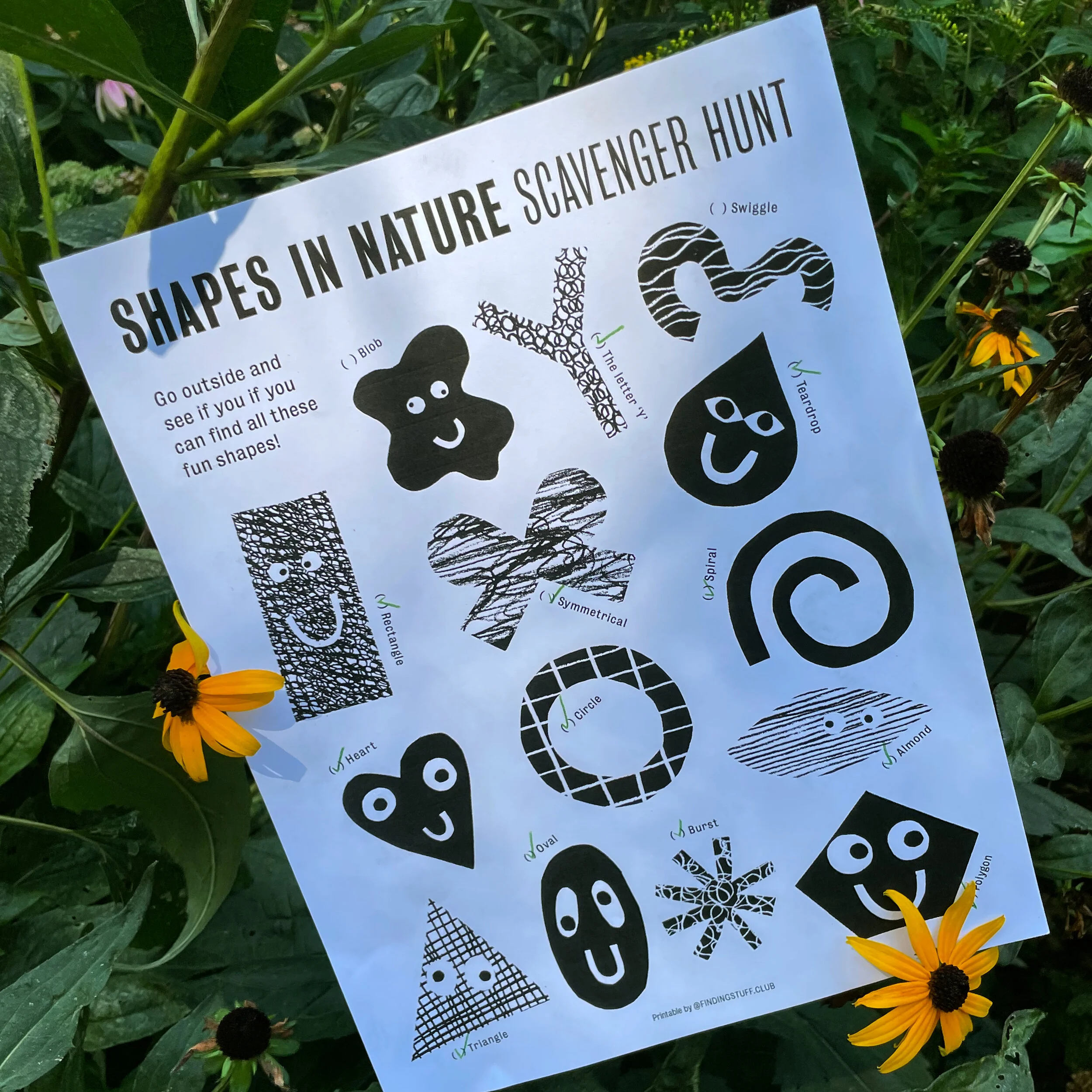 Shapes in Nature Scavenger Hunt