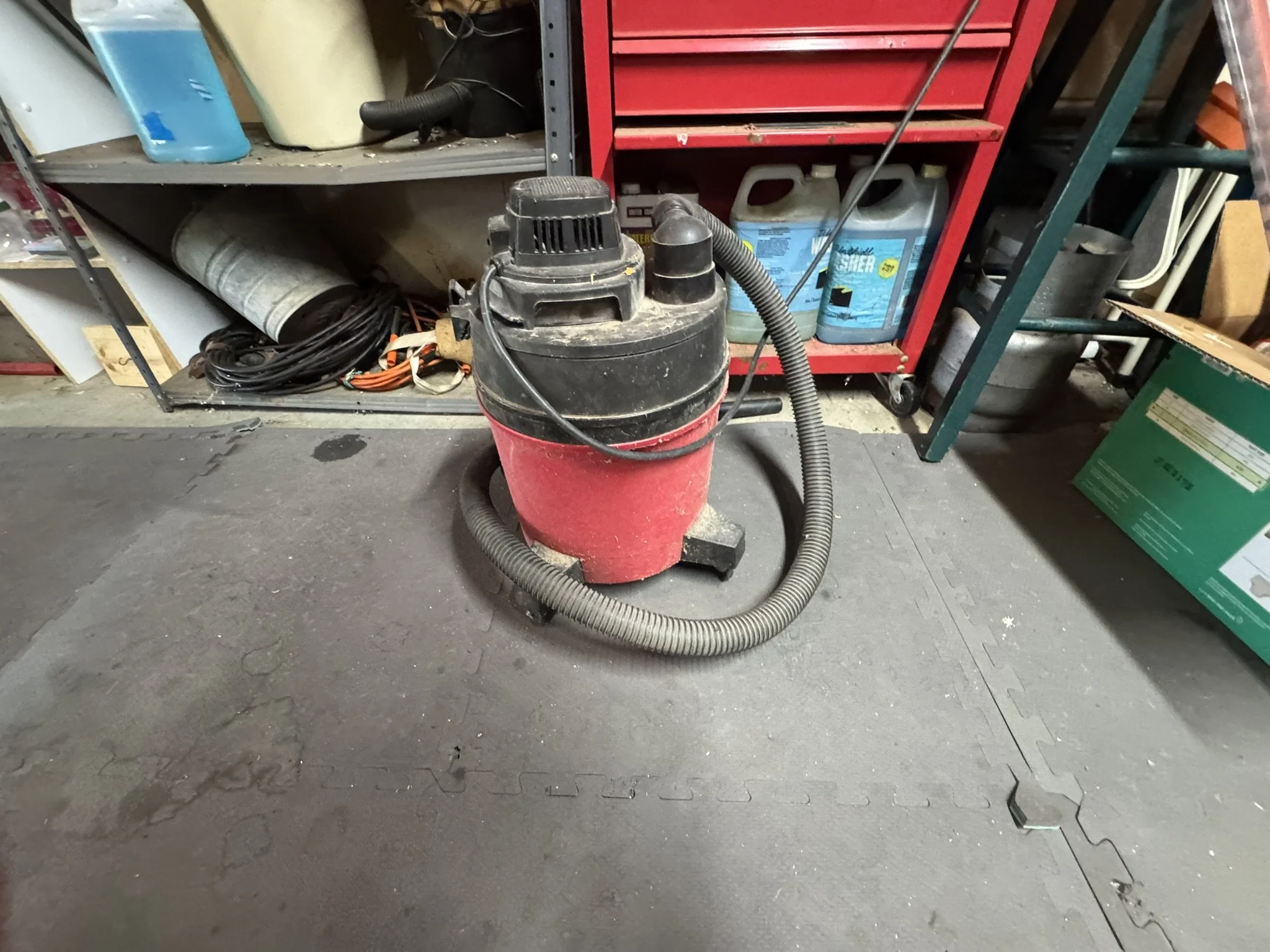 IMG_5894.JPEG