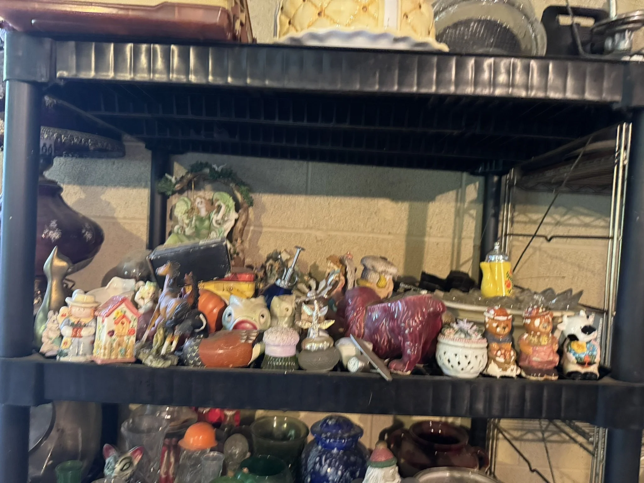 IMG_8036.JPEG