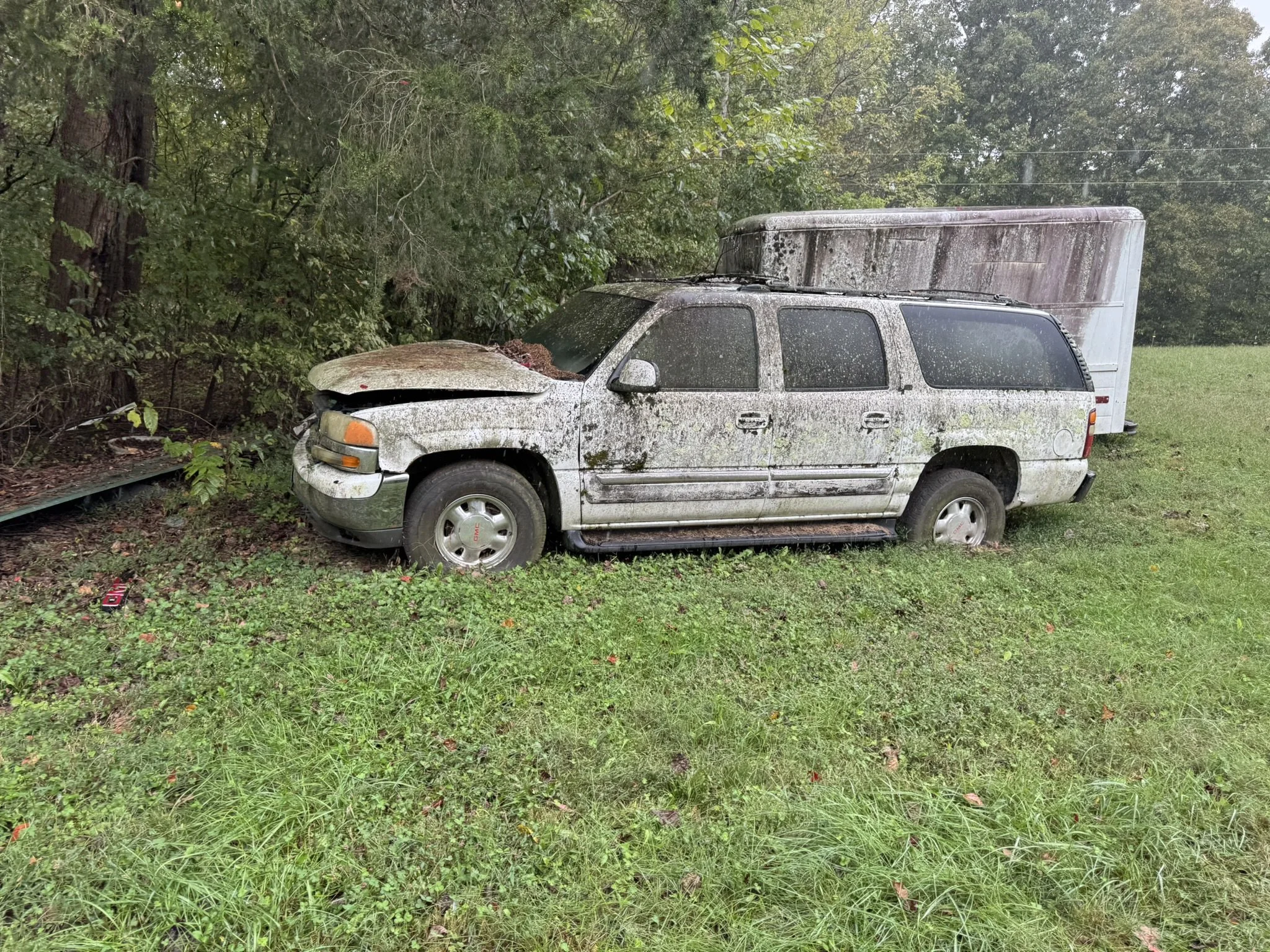 IMG_8155.JPEG