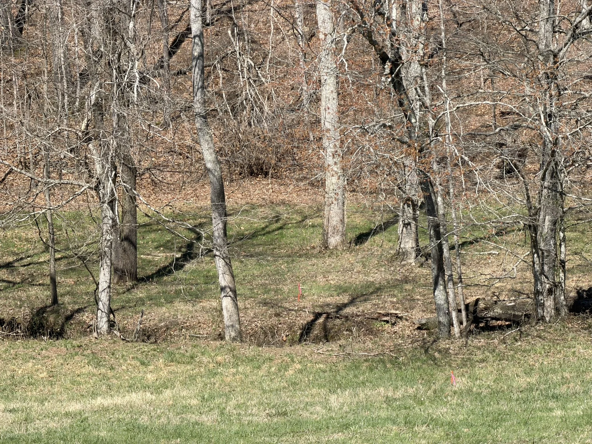 Spann lots (16).JPEG