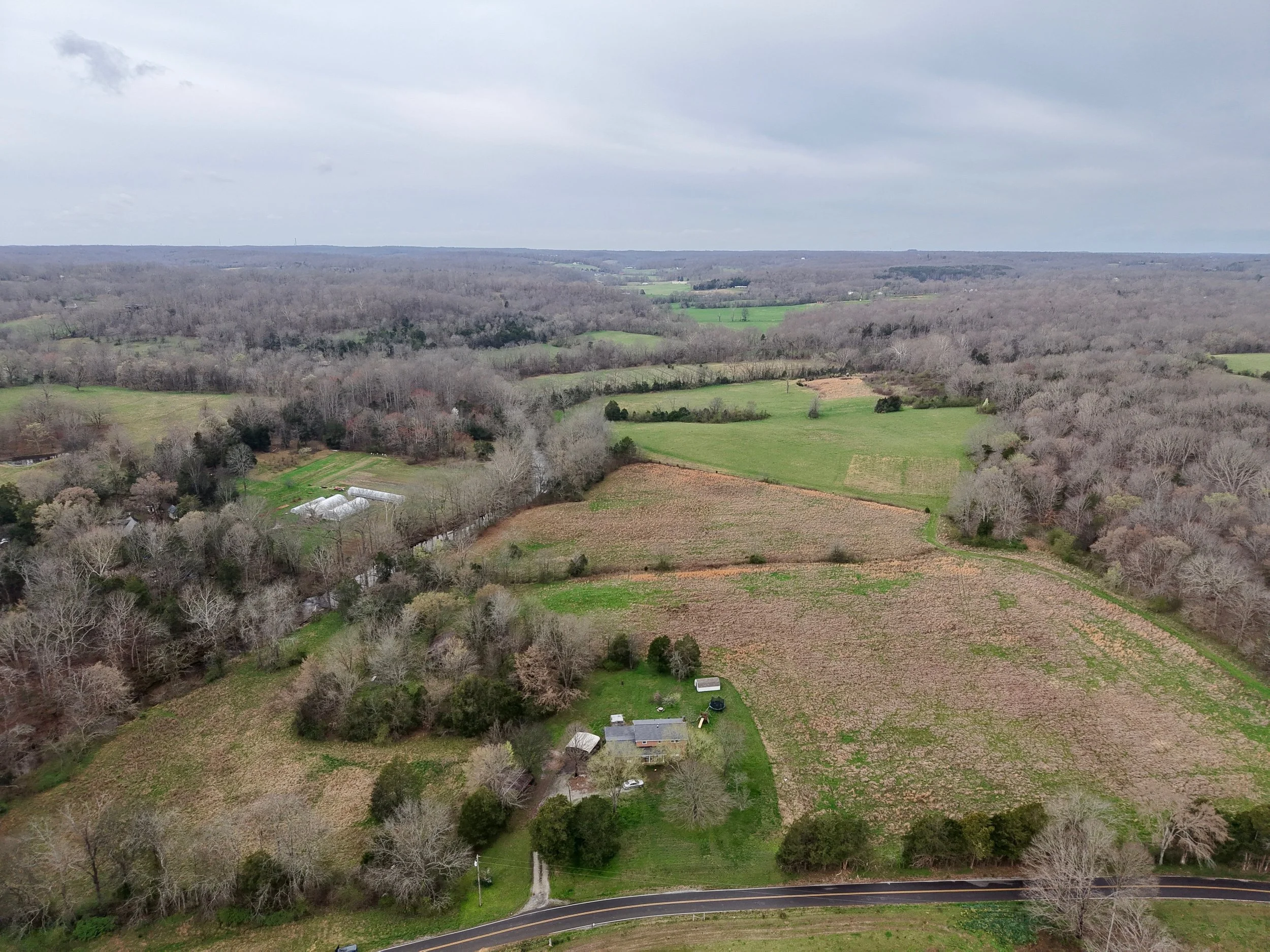 dji_fly_20260311_094508_0208_1773250234842_photo.JPEG