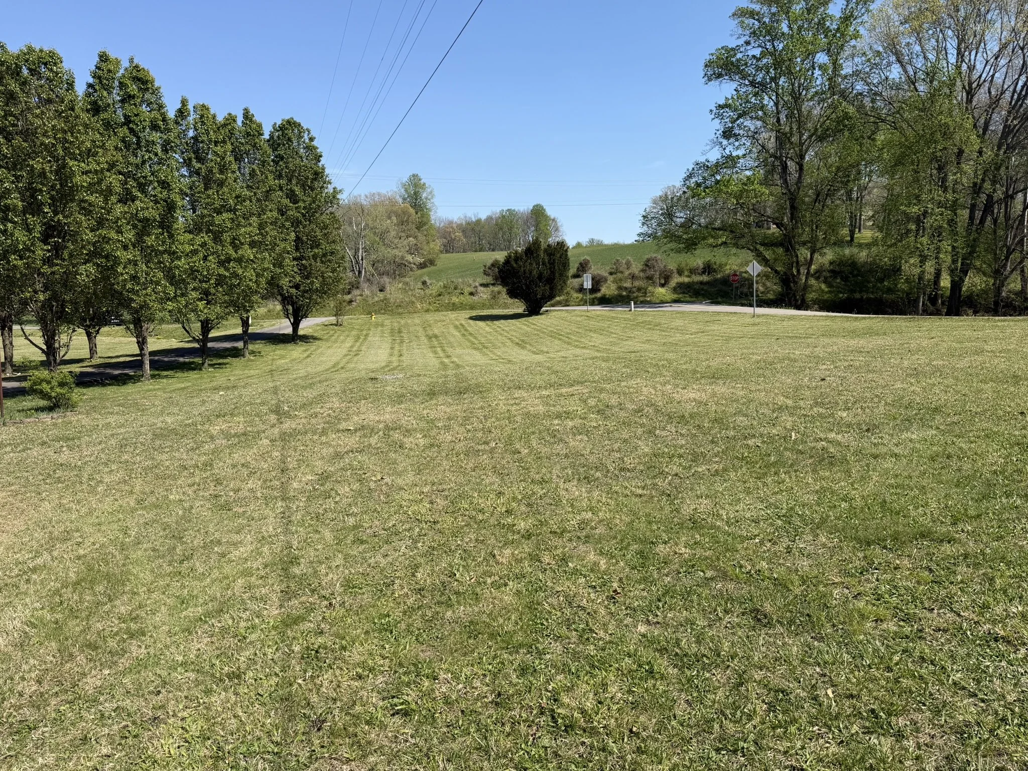 IMG_1728.JPEG