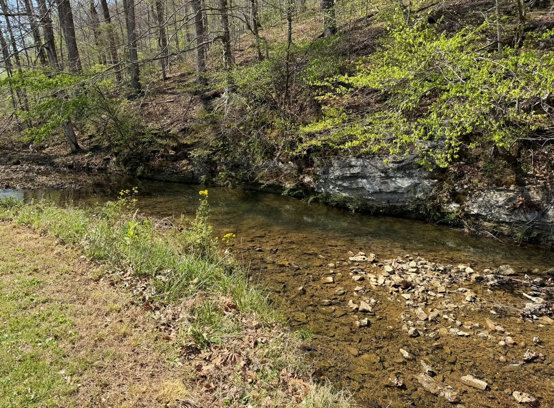 IMG_1742.JPEG