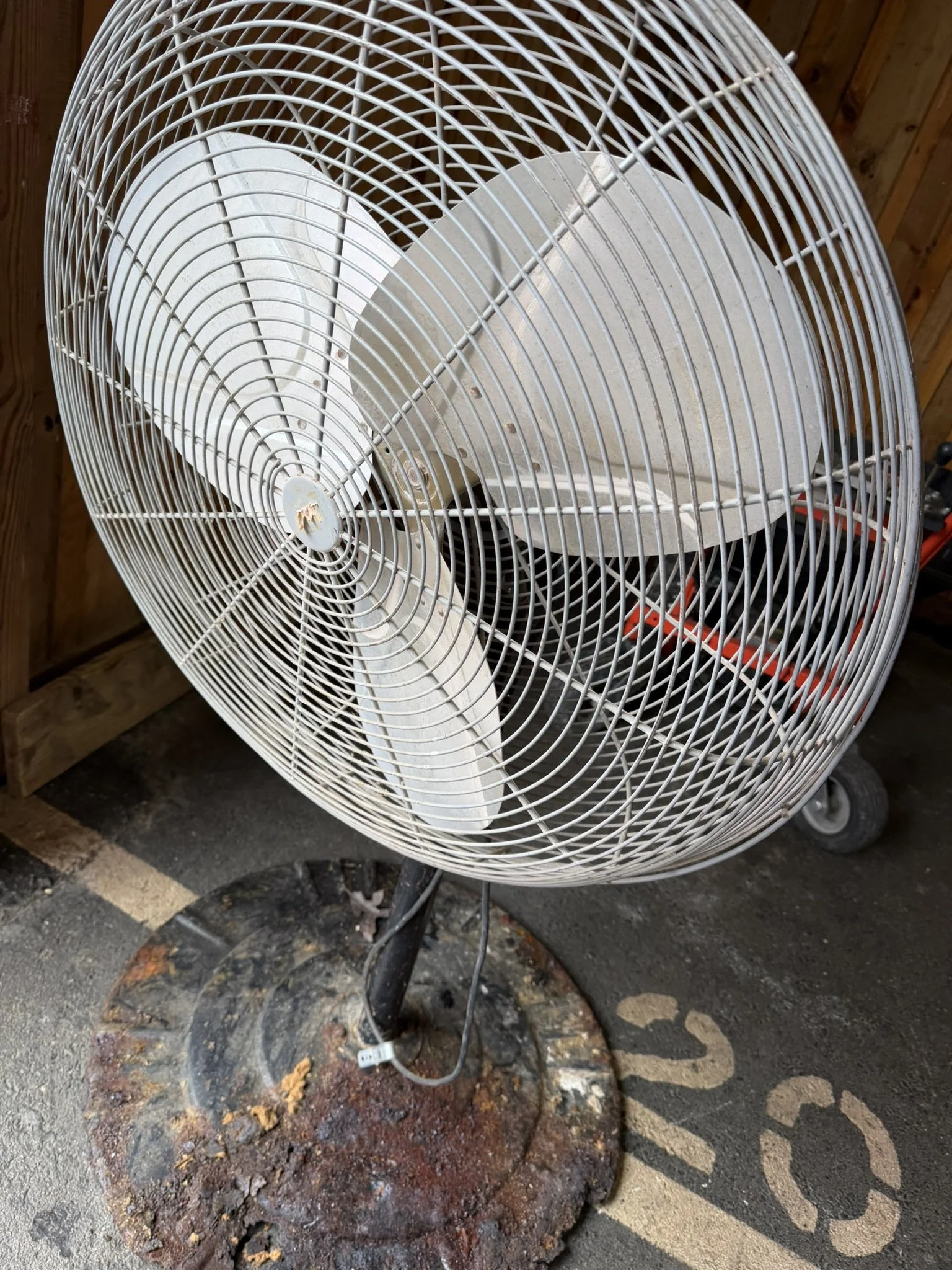 IMG_2929.JPEG