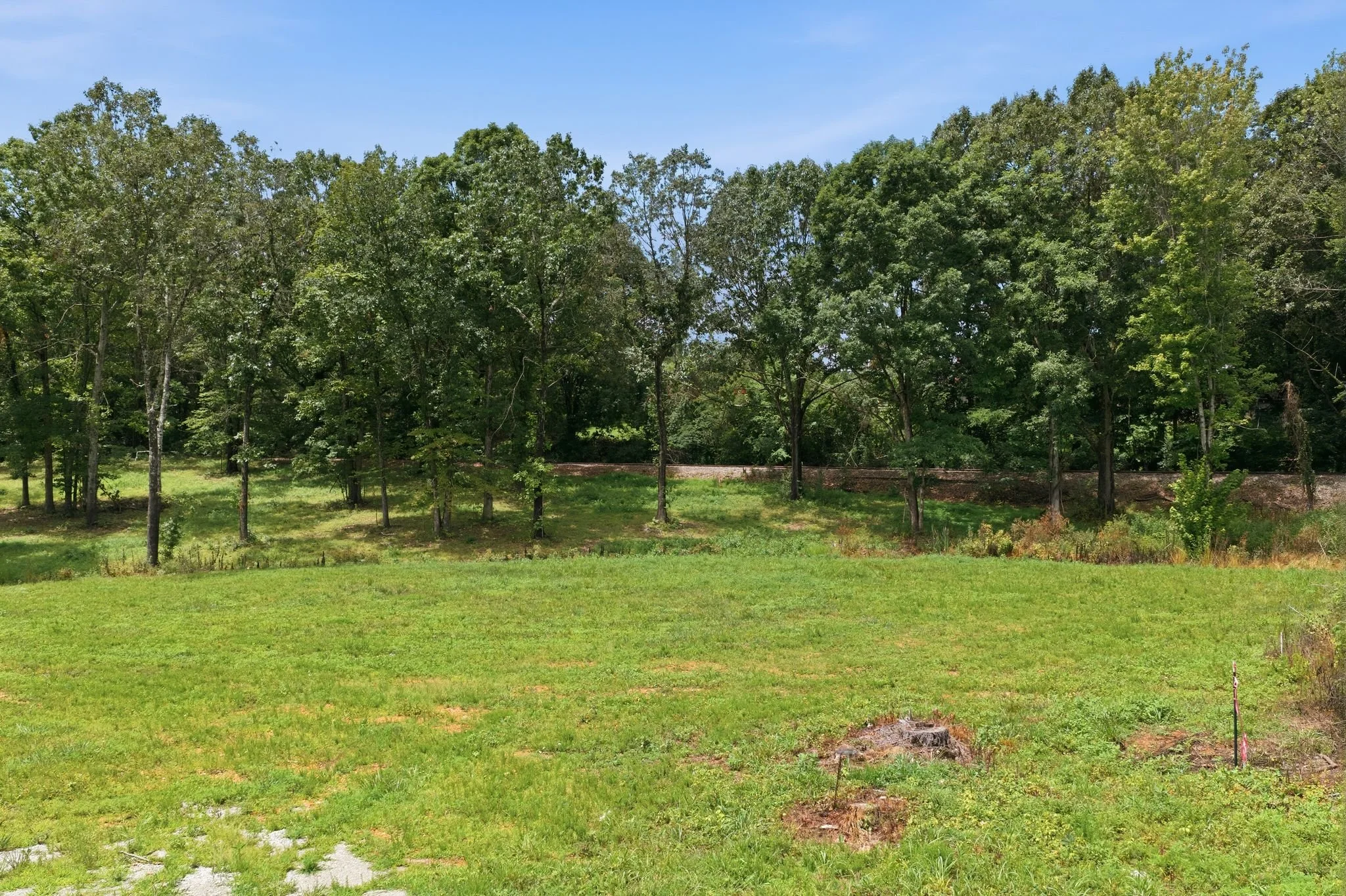 ff2607102-1016.jpg