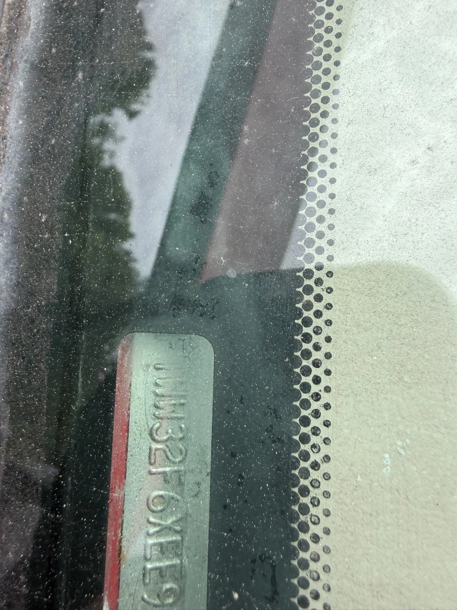 IMG_3376.JPEG