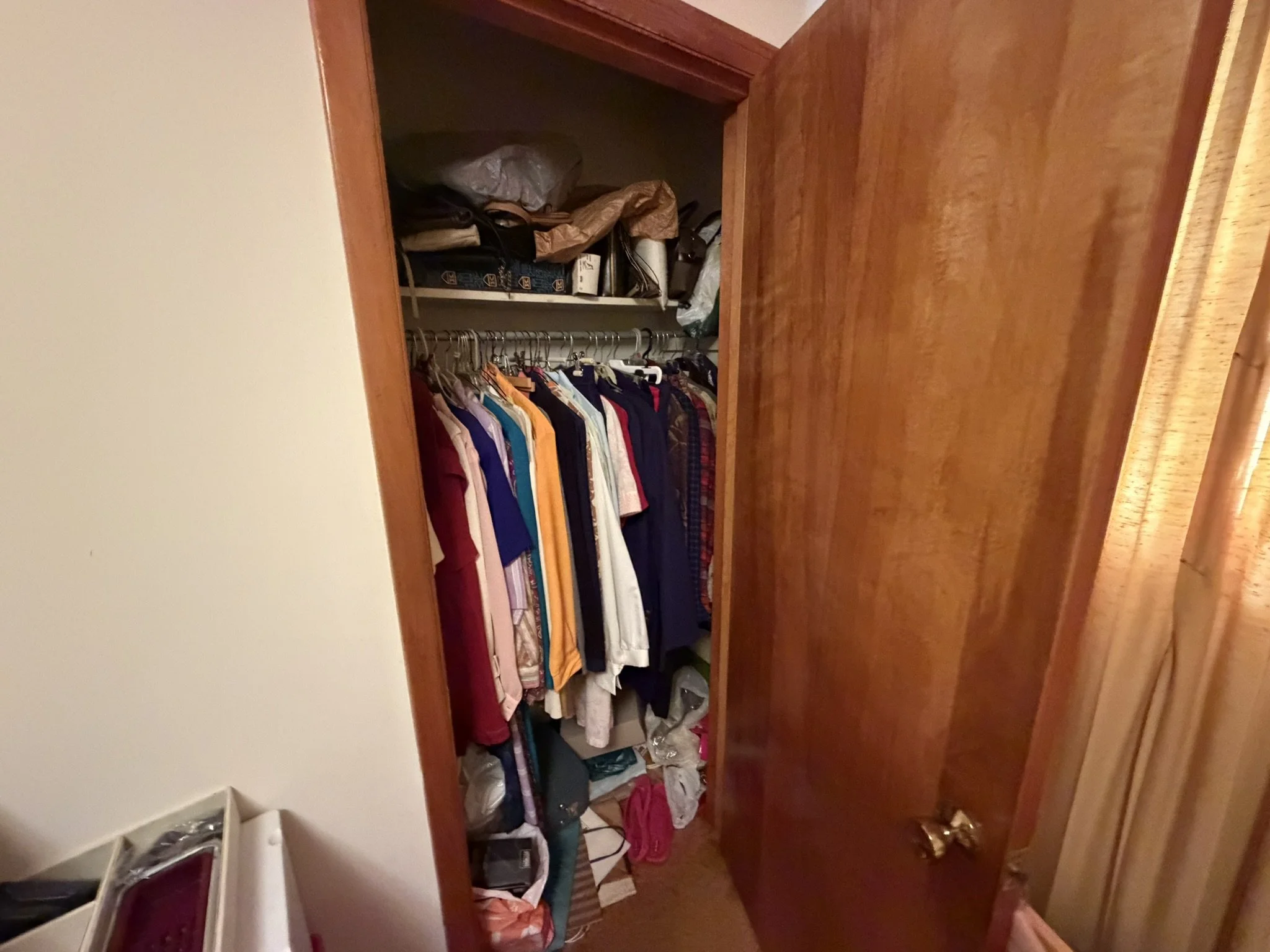 IMG_3904.JPEG