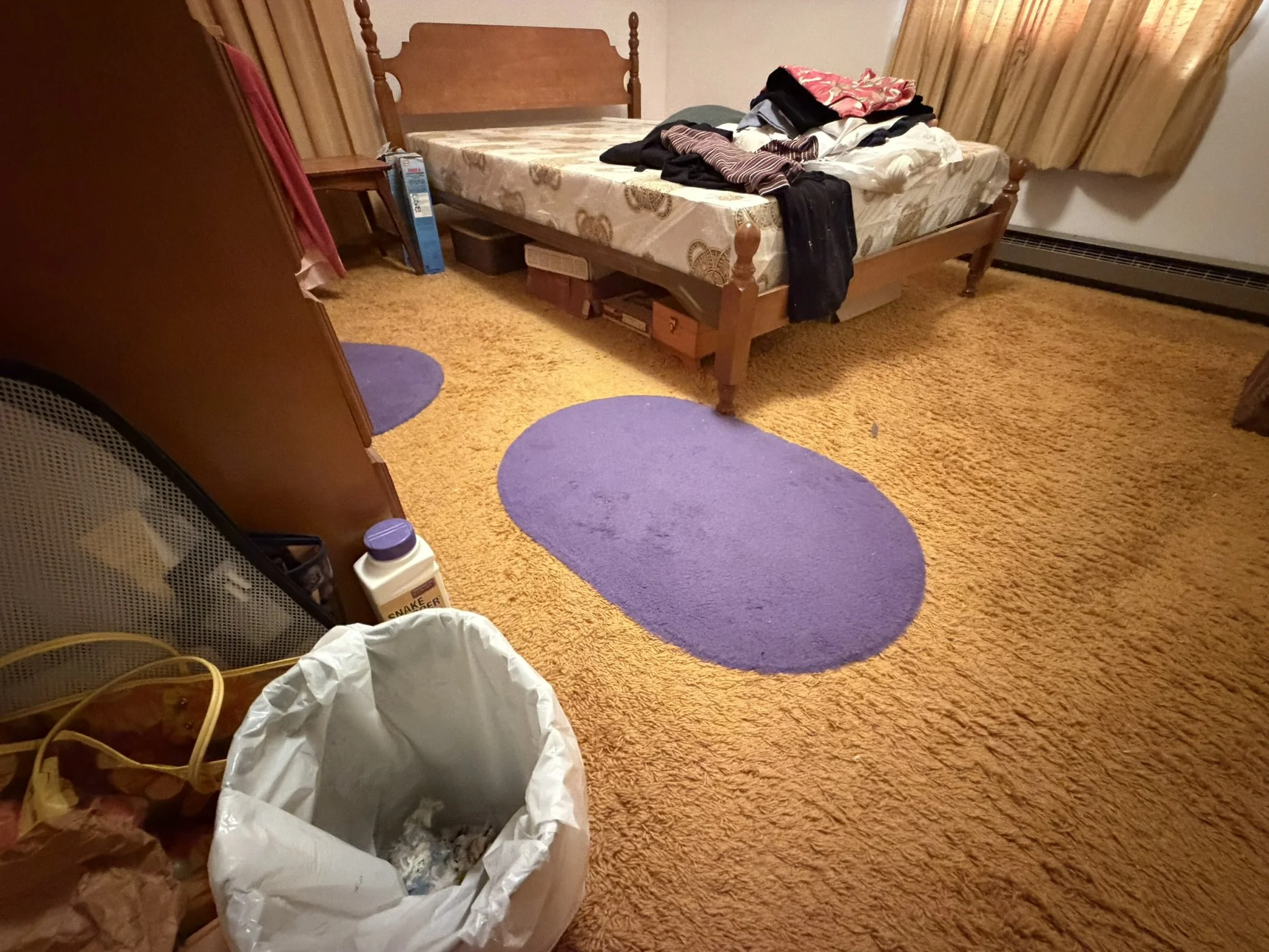 IMG_3905.JPEG